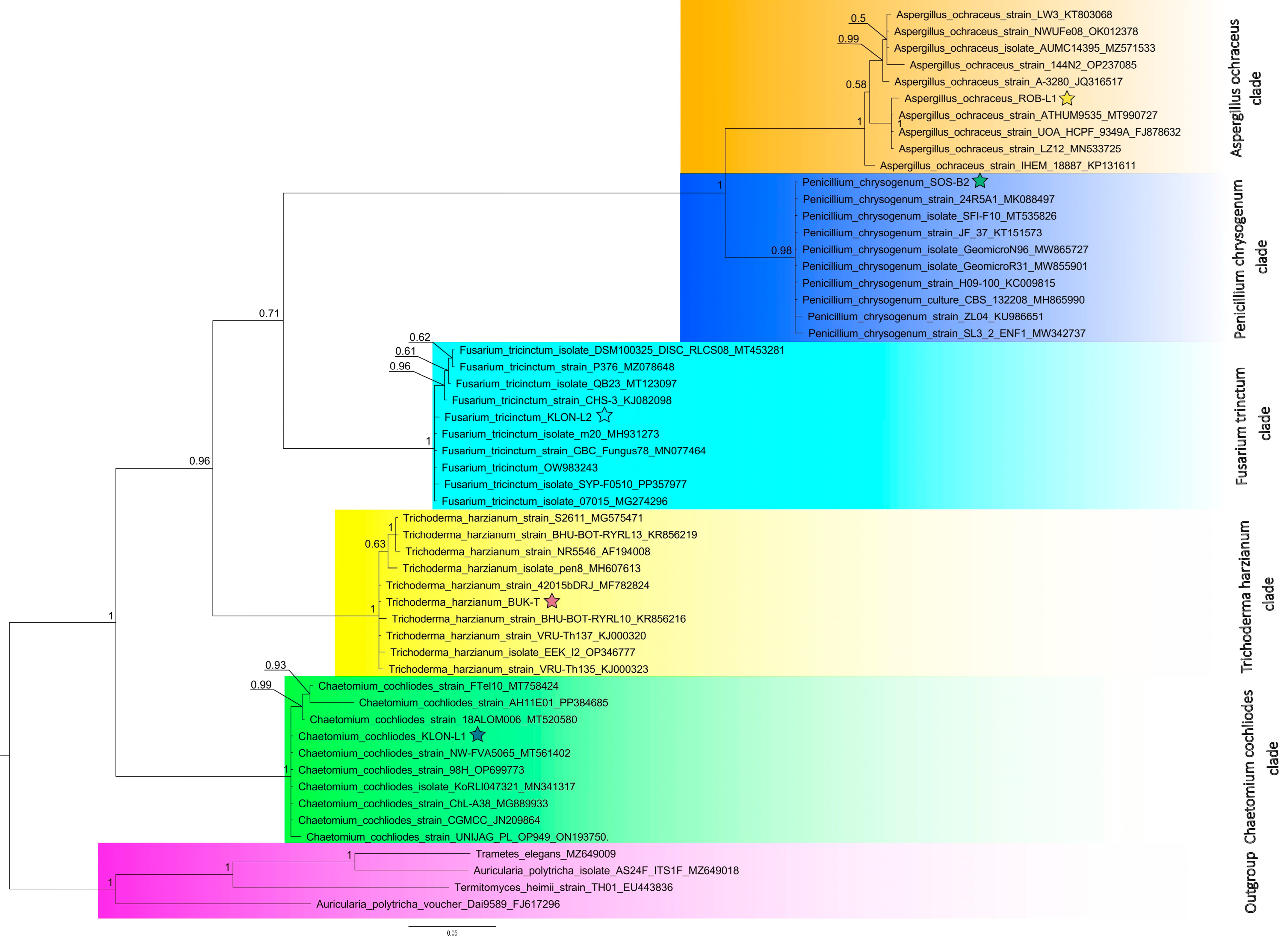 Molecules 29 04746 g001