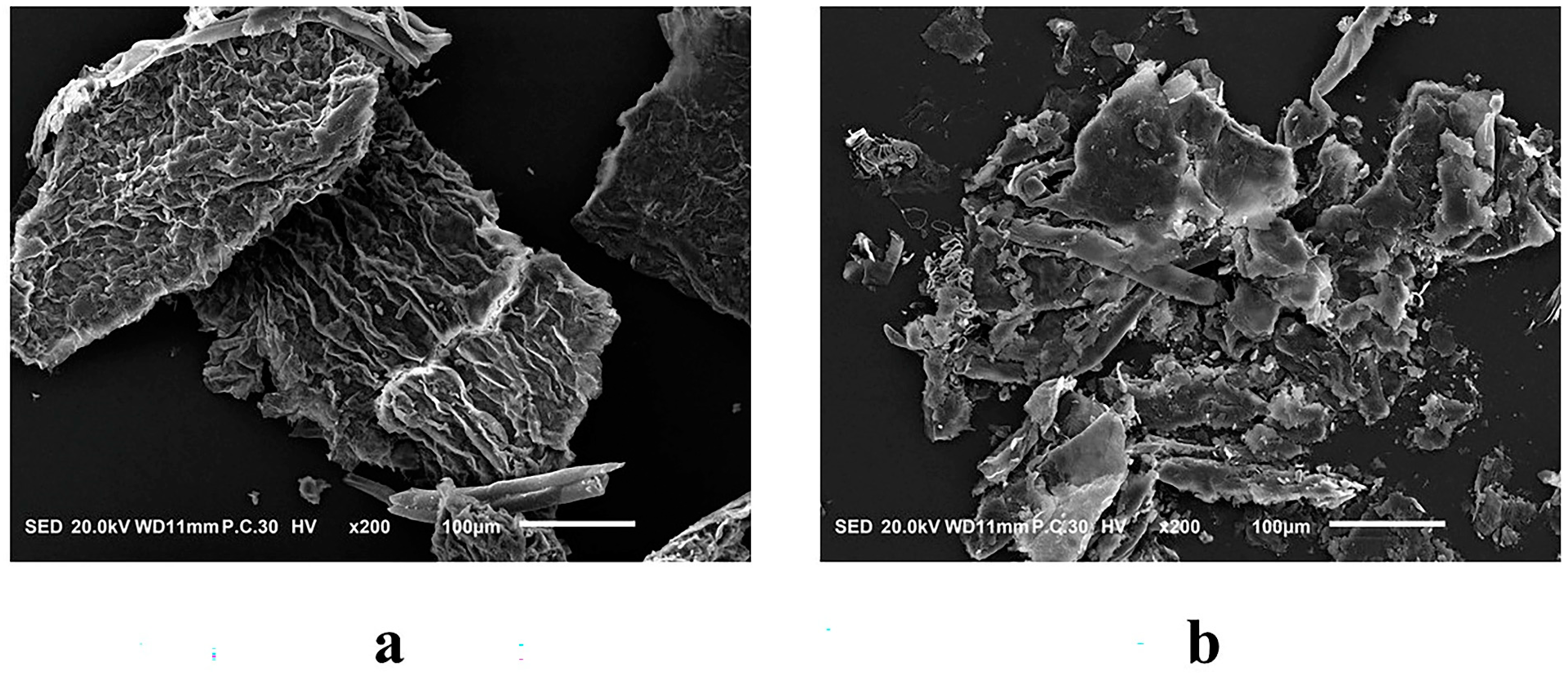 Molecules 29 04749 g005