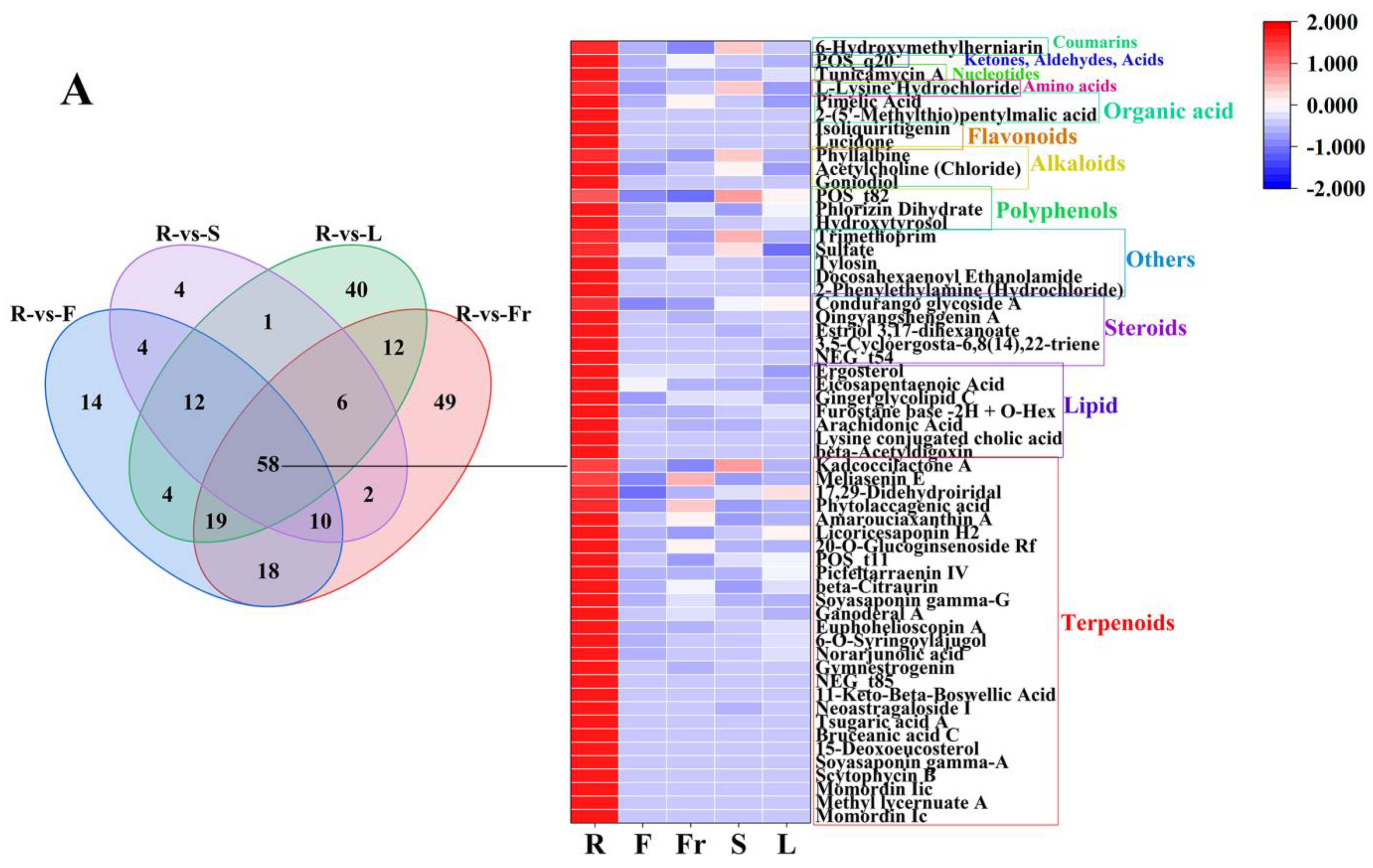 Molecules 29 04754 g003a