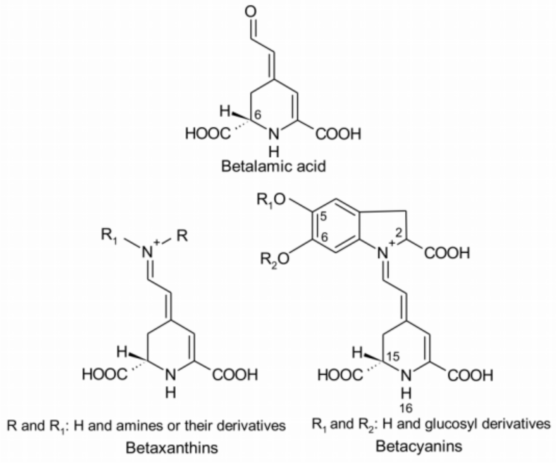 Molecules 29 04756 g004 Molecules 29 04756 g004