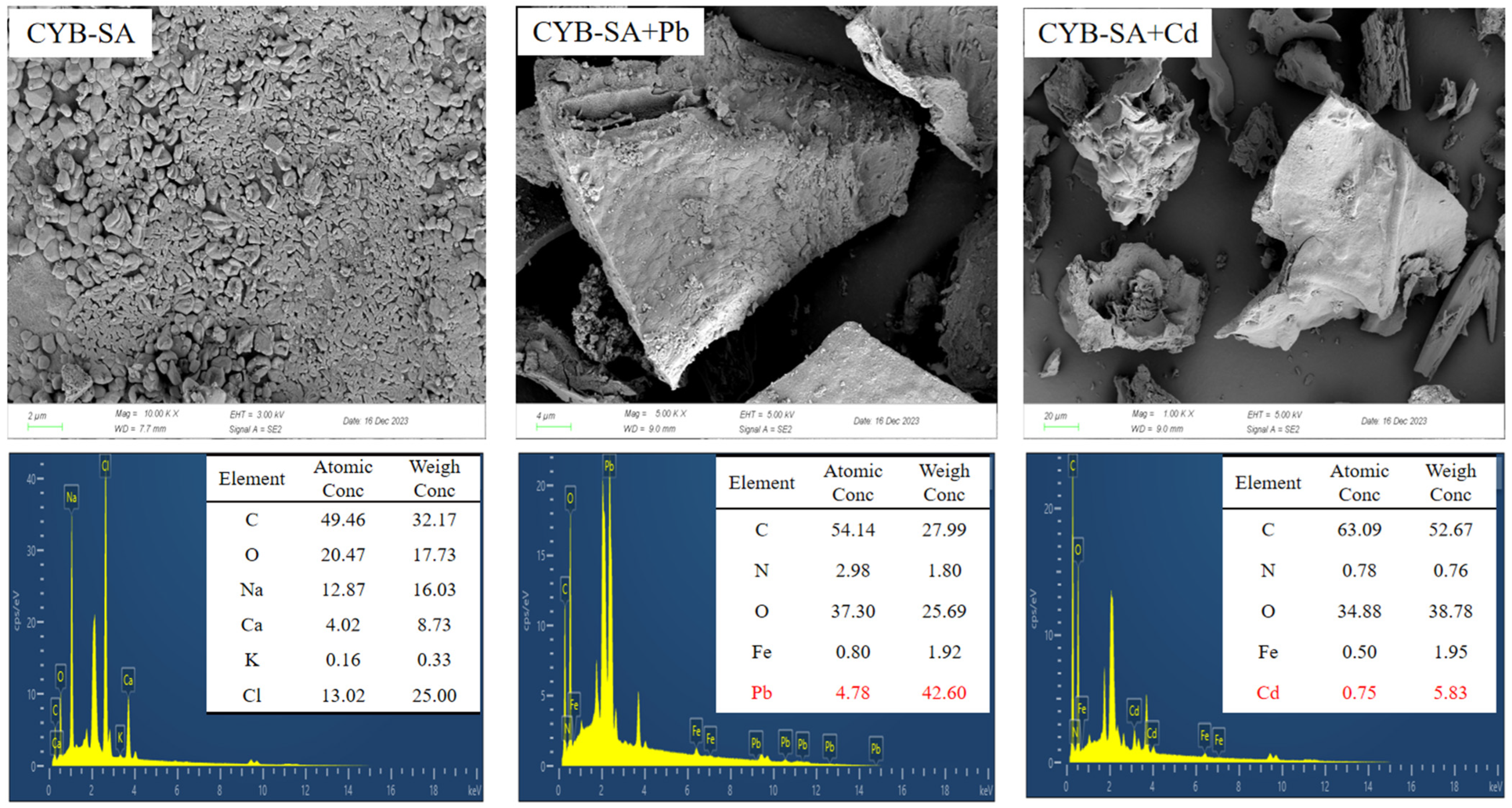 Molecules 29 04757 g005
