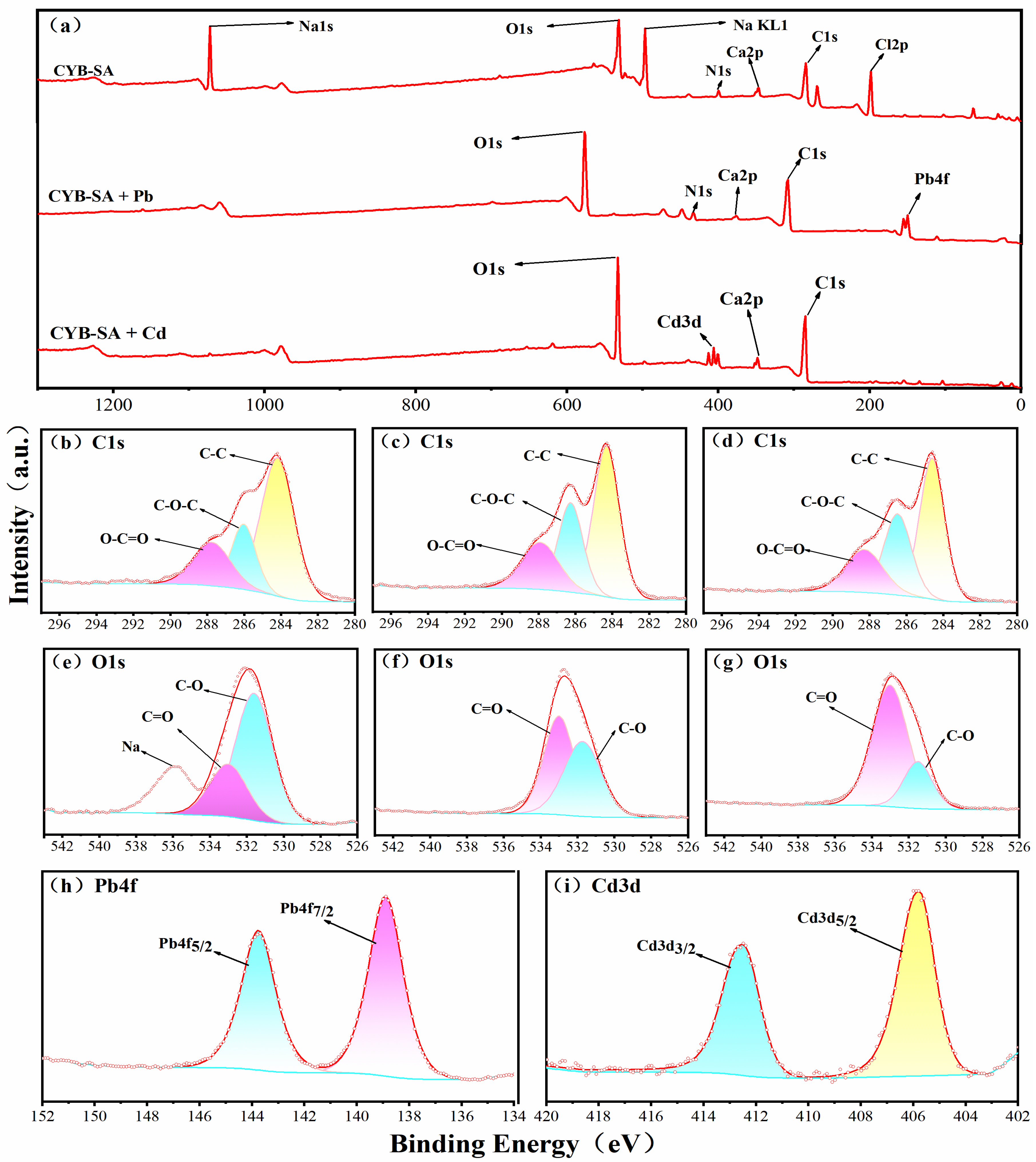 Molecules 29 04757 g007