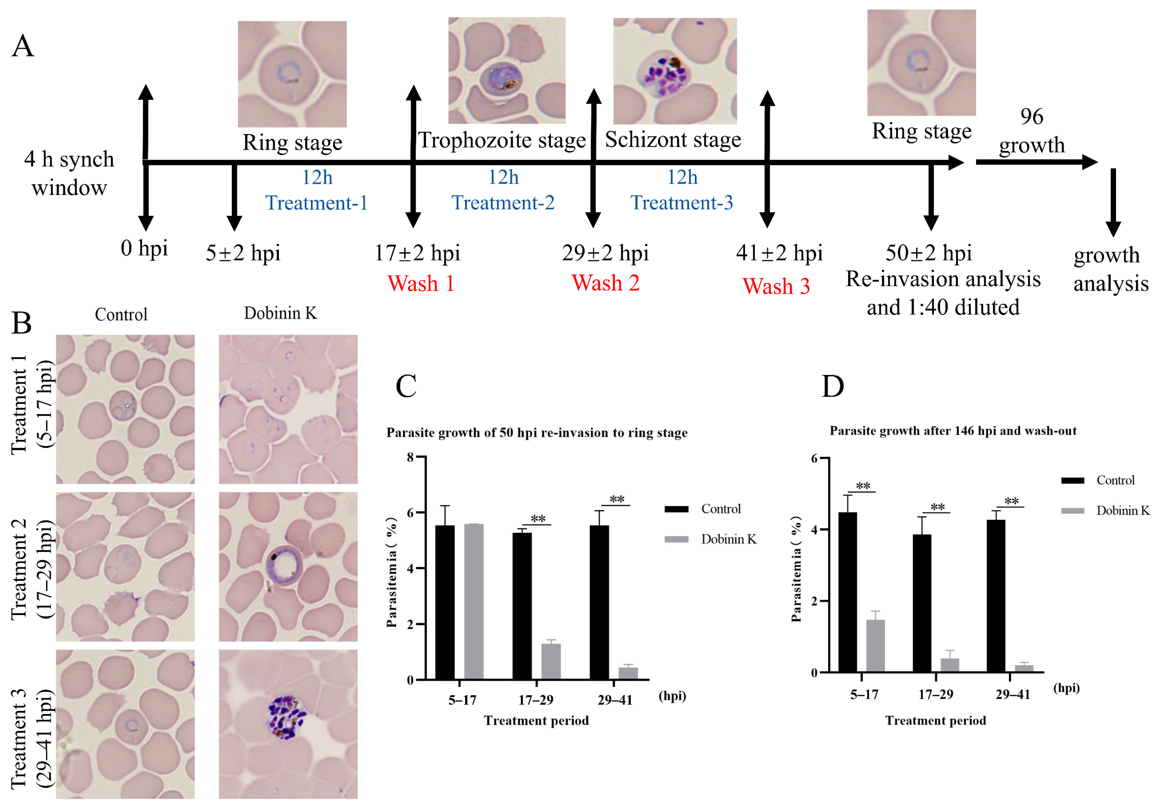 Molecules 29 04759 g003 Molecules 29 04759 g003