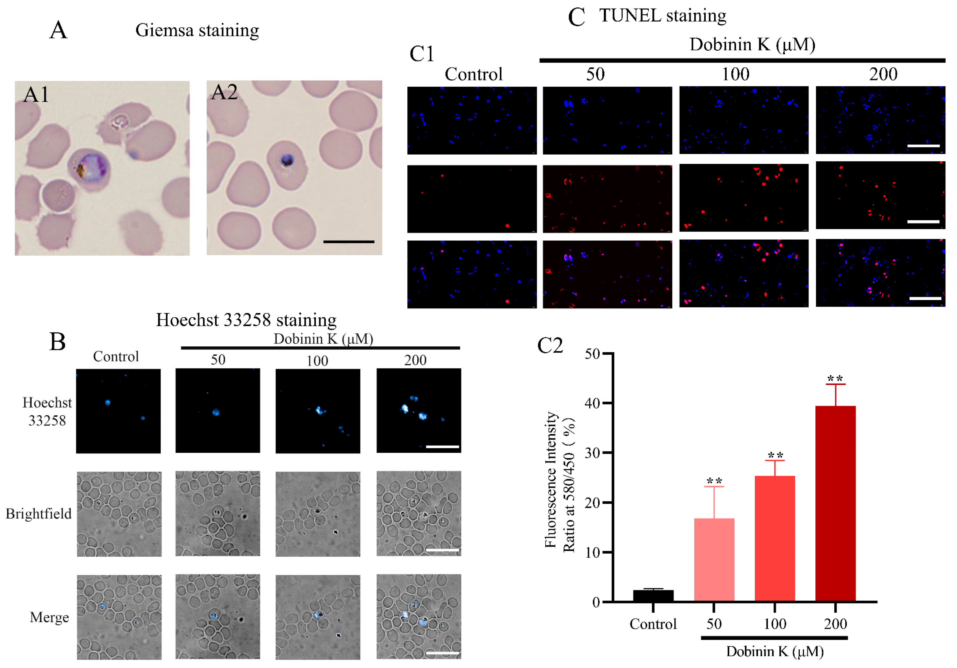 Molecules 29 04759 g005 Molecules 29 04759 g005