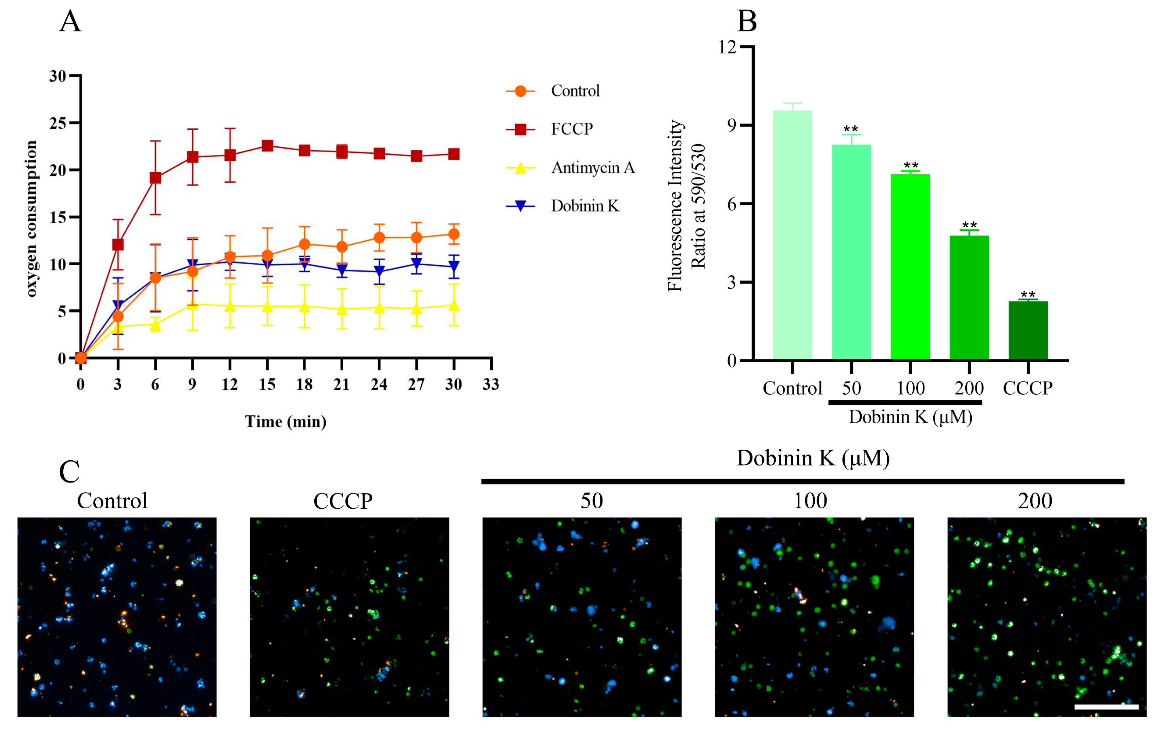 Molecules 29 04759 g007 Molecules 29 04759 g007