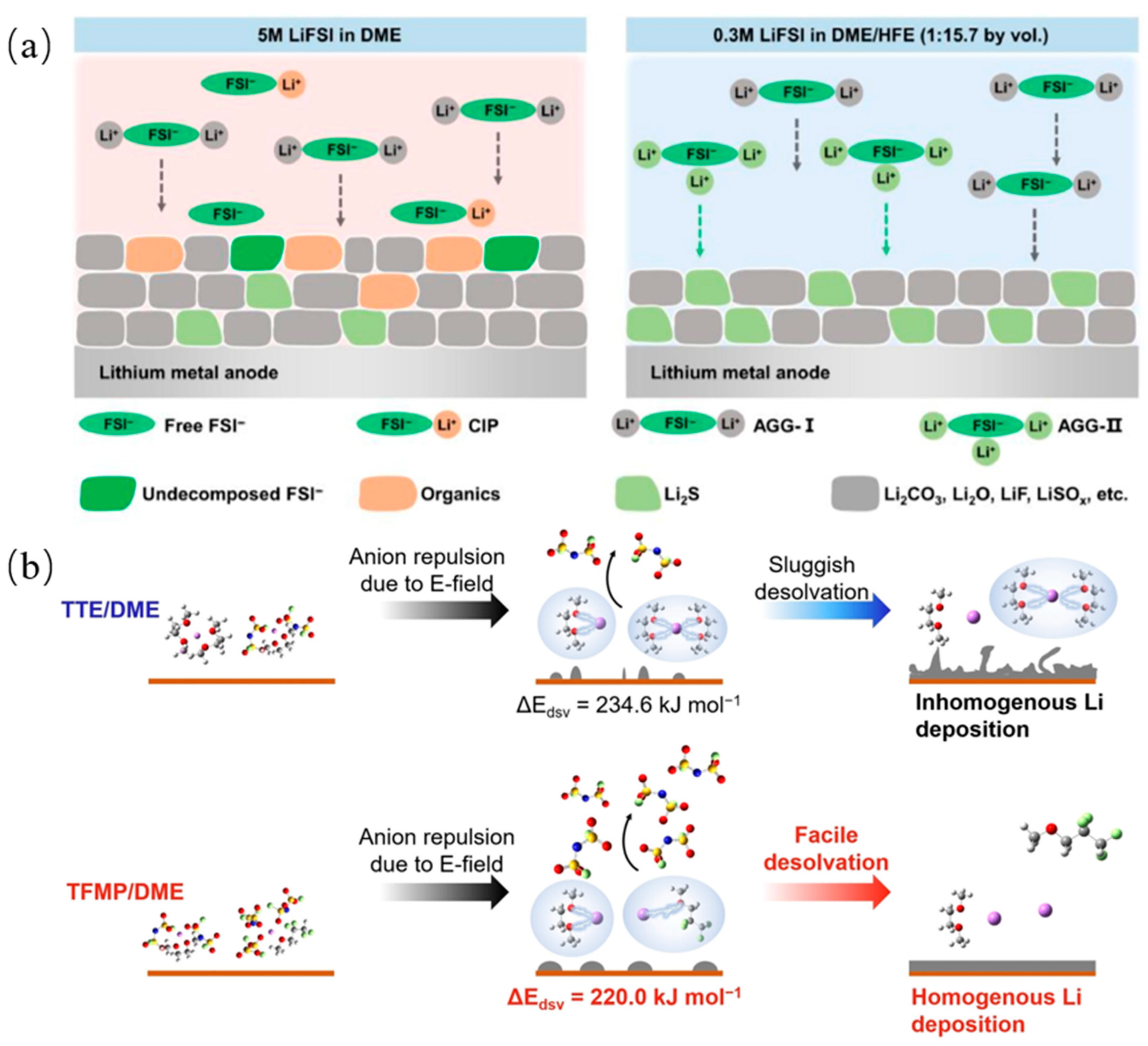 Molecules 29 04761 g004
