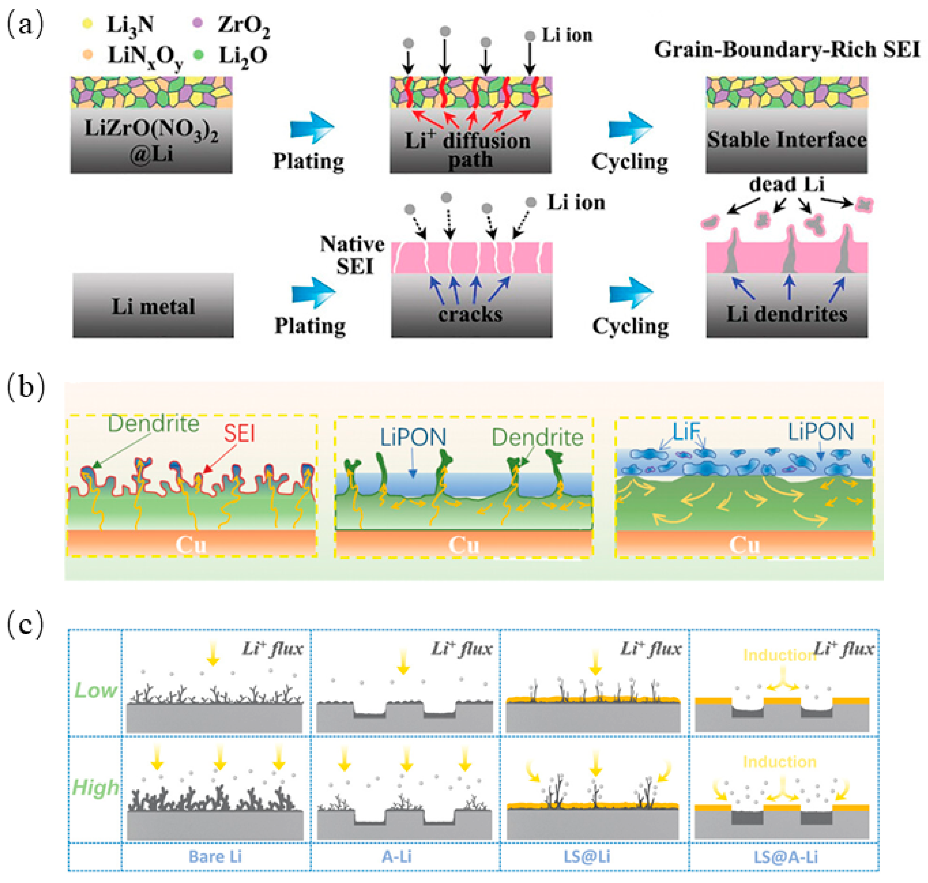 Molecules 29 04761 g005