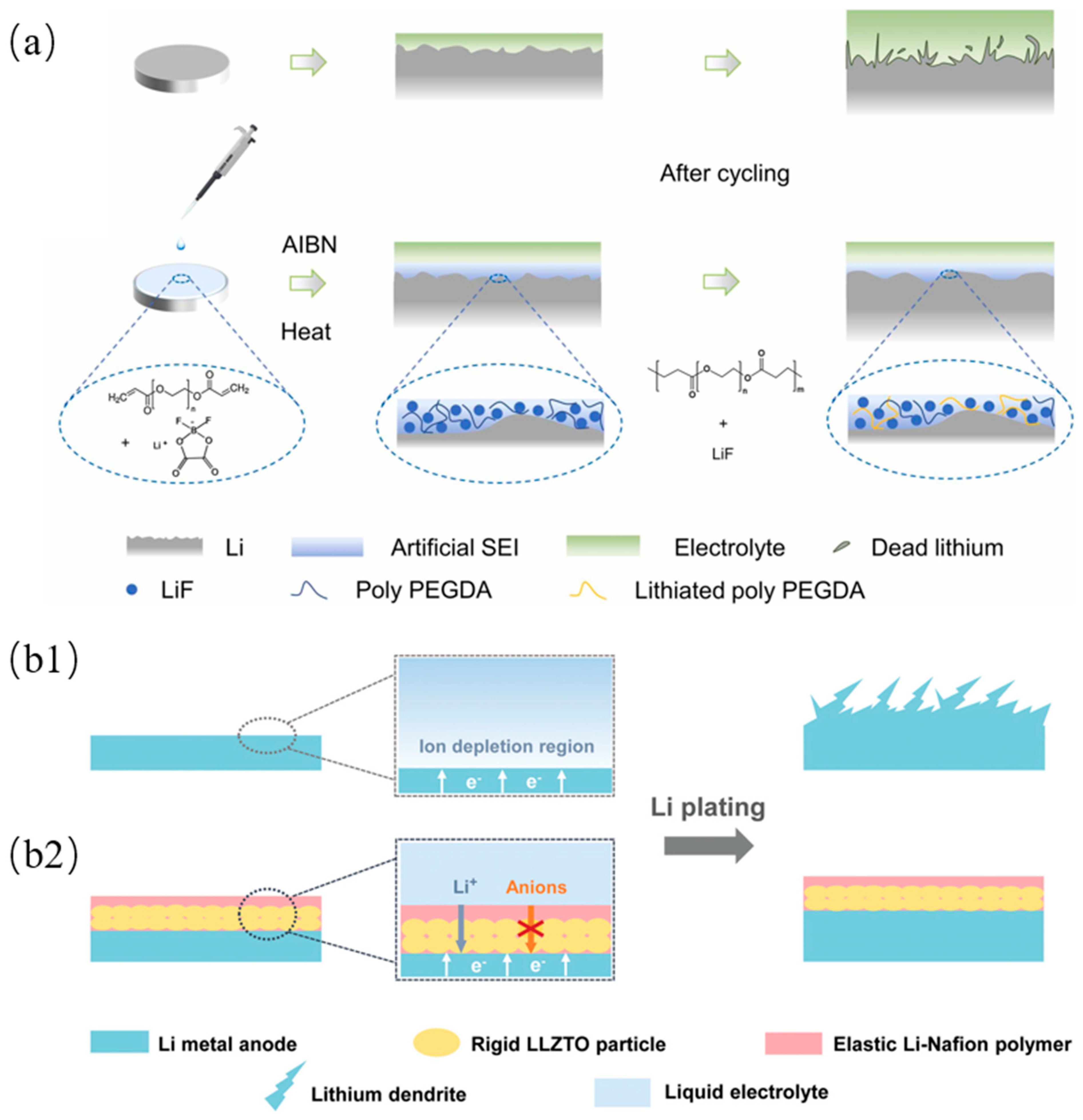 Molecules 29 04761 g006