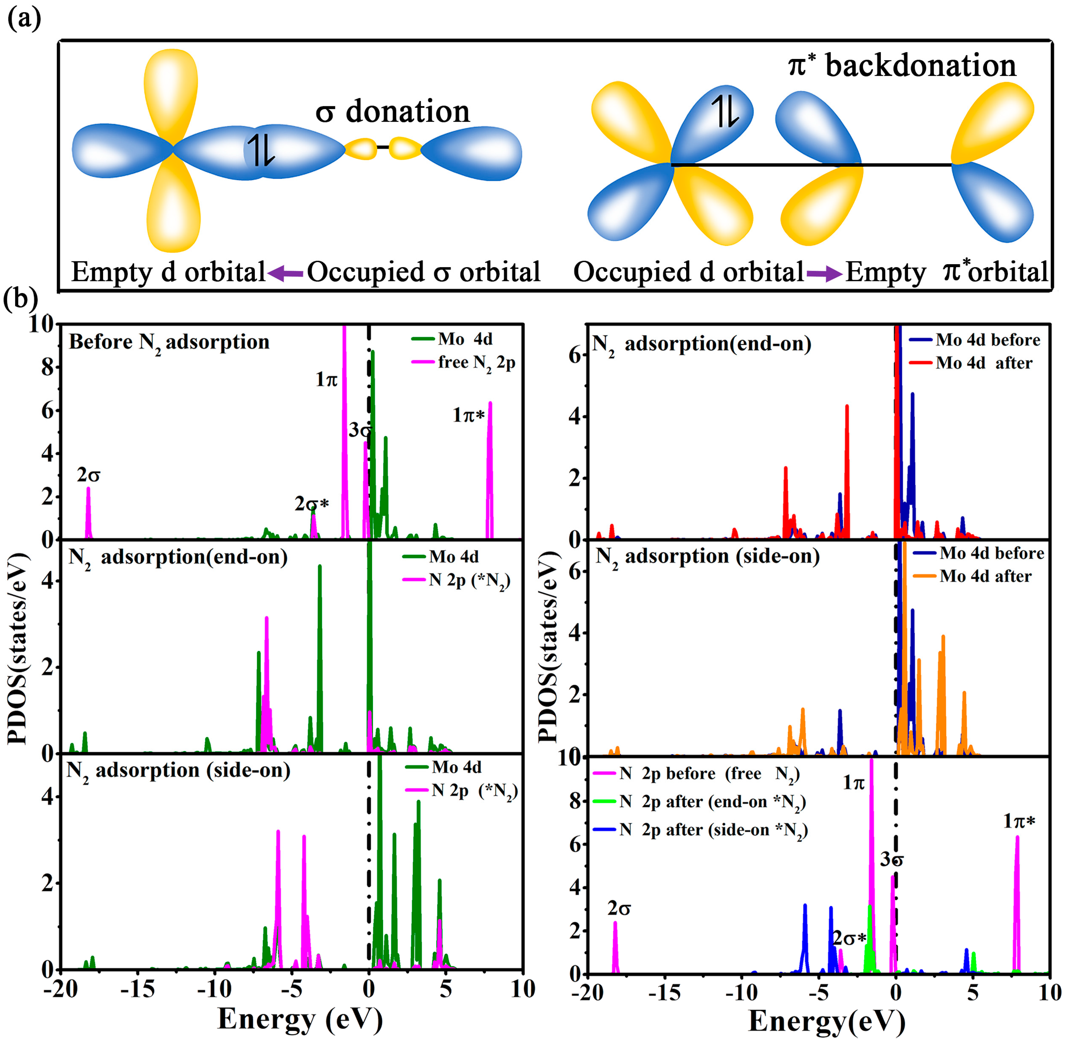 Molecules 29 04768 g004