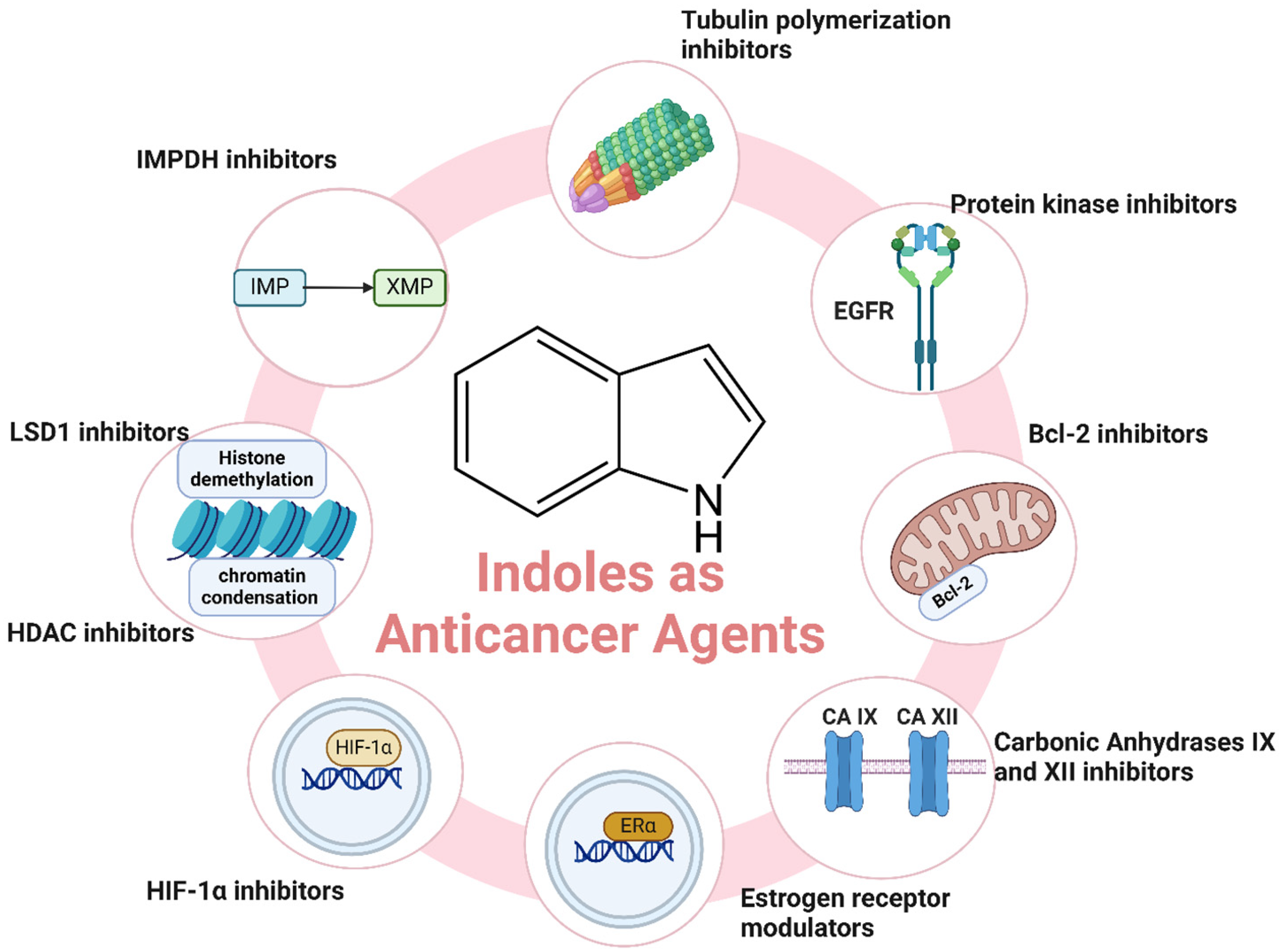 Molecules 29 04770 g003