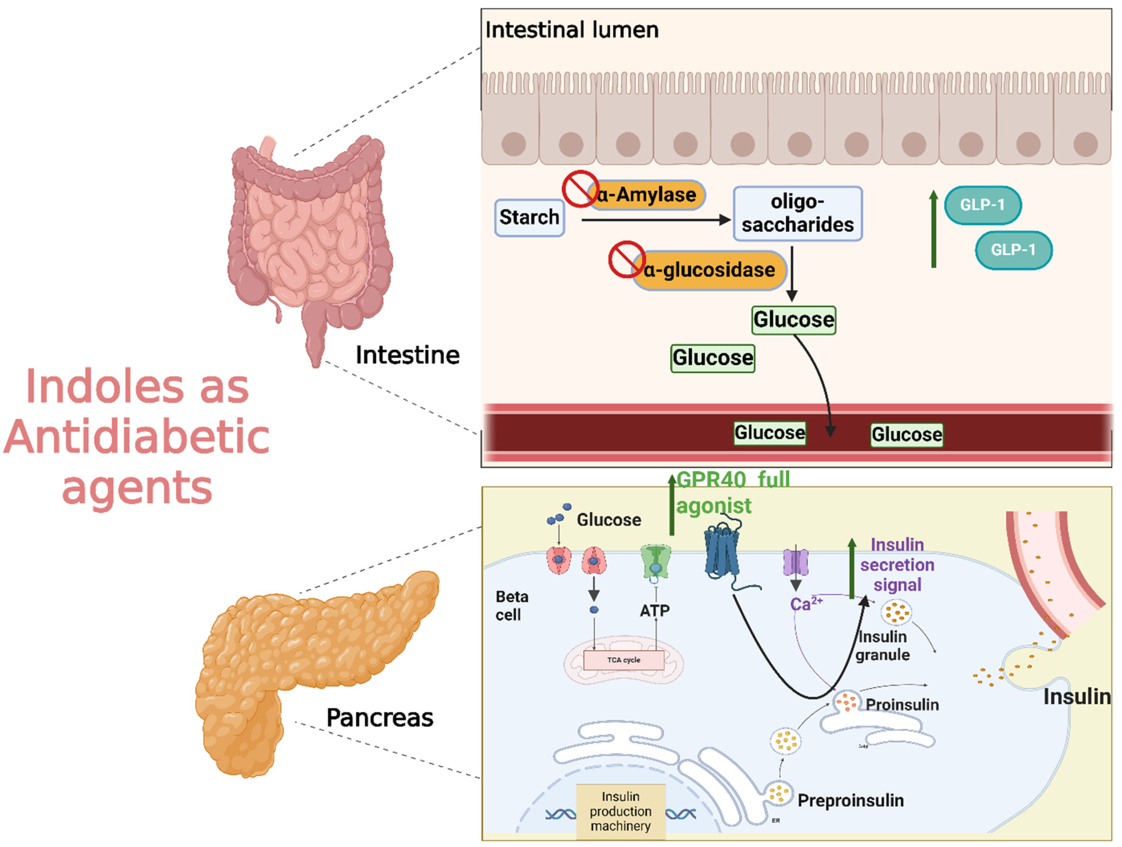 Molecules 29 04770 g020