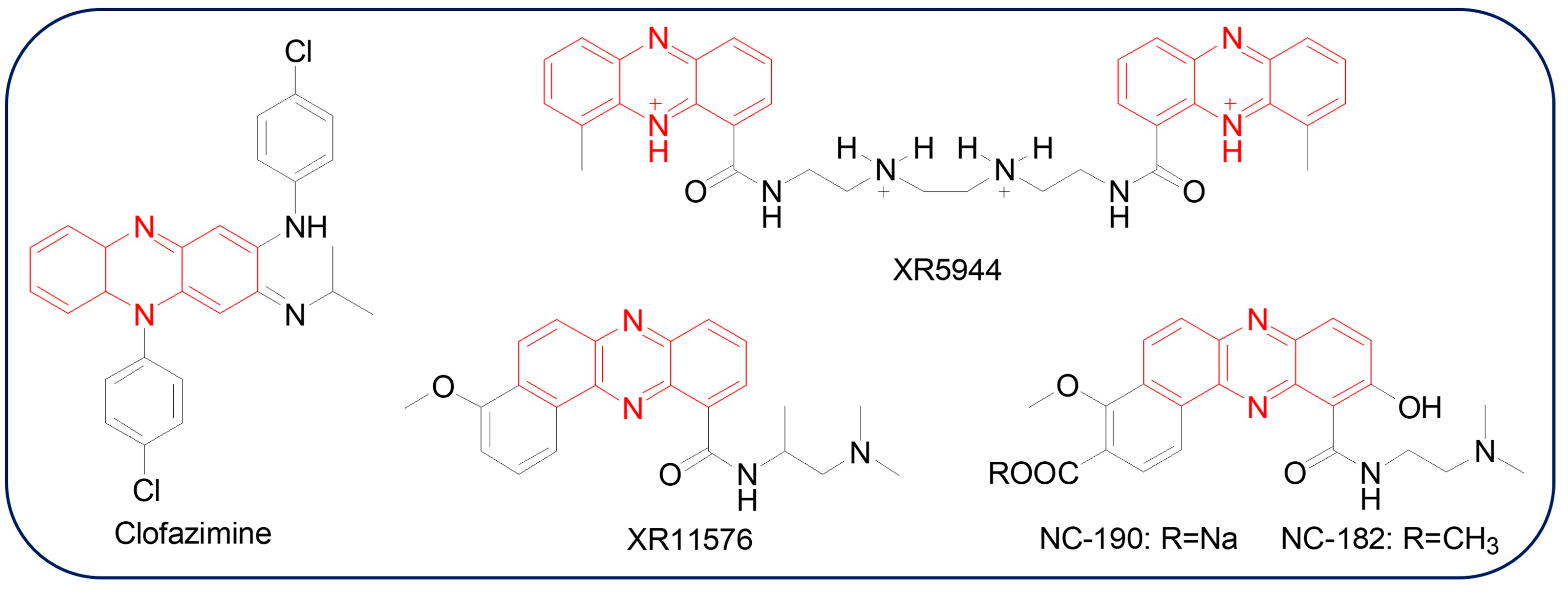 Molecules 29 04771 g001 Molecules 29 04771 g001