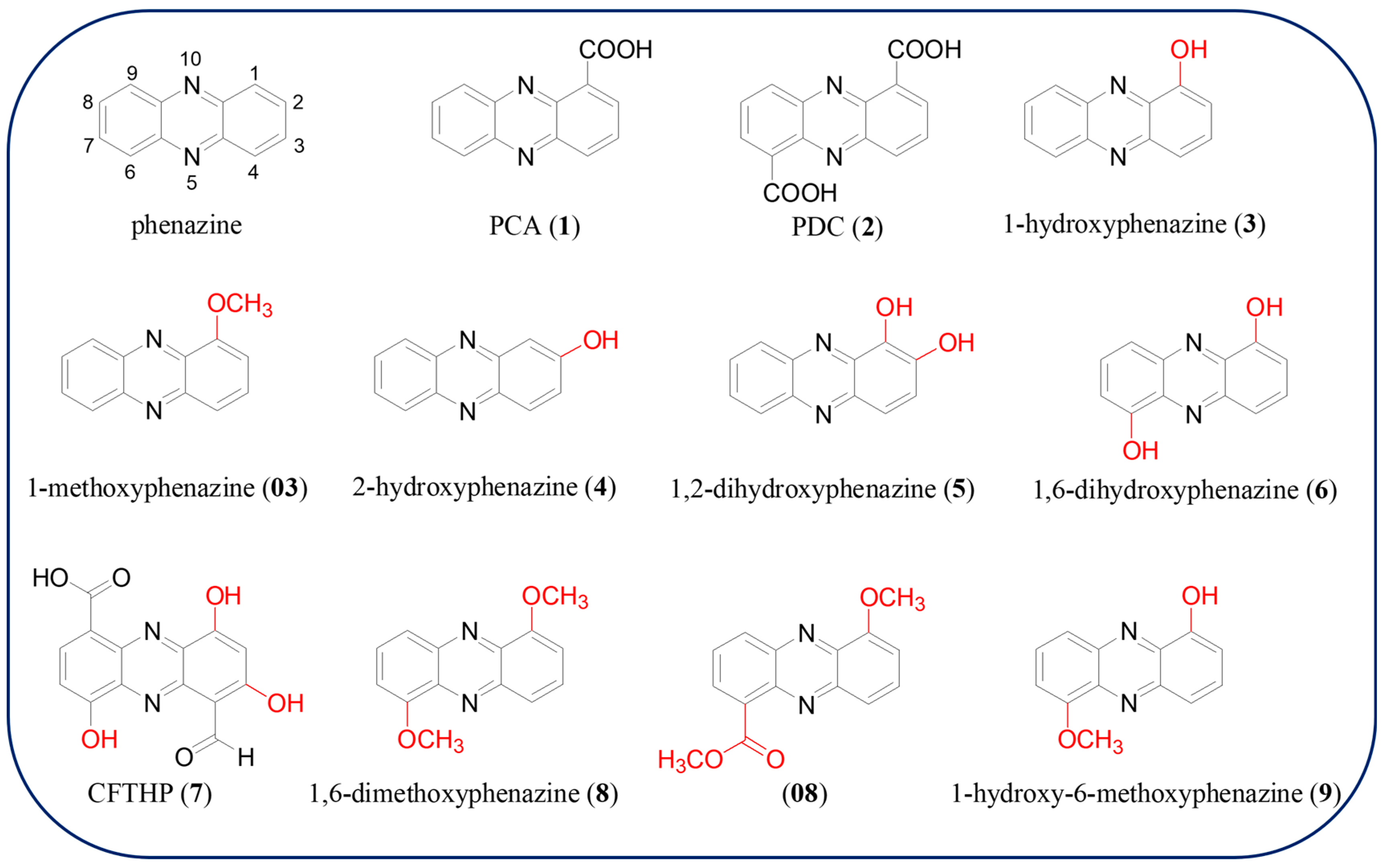 Molecules 29 04771 g002 Molecules 29 04771 g002