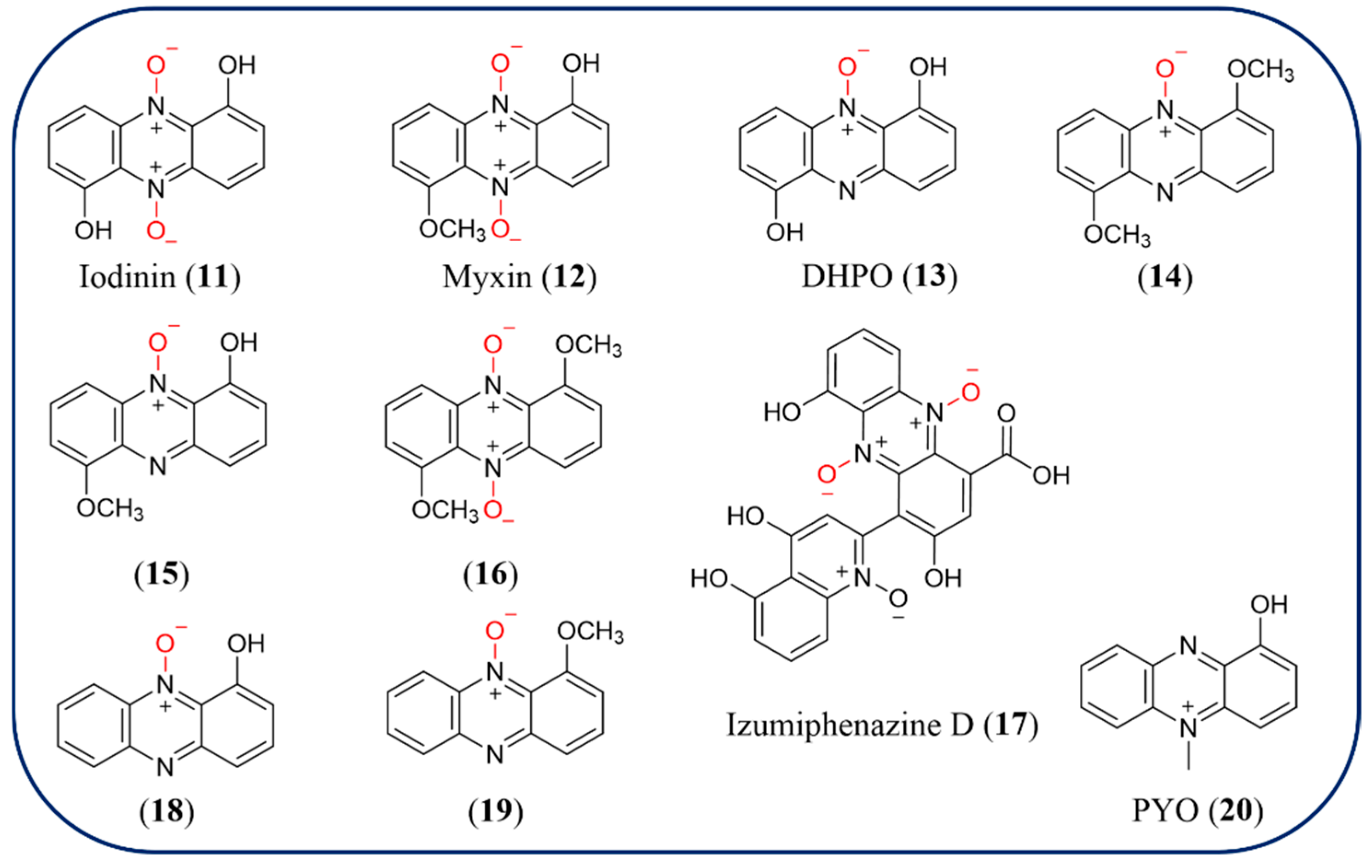 Molecules 29 04771 g003 Molecules 29 04771 g003