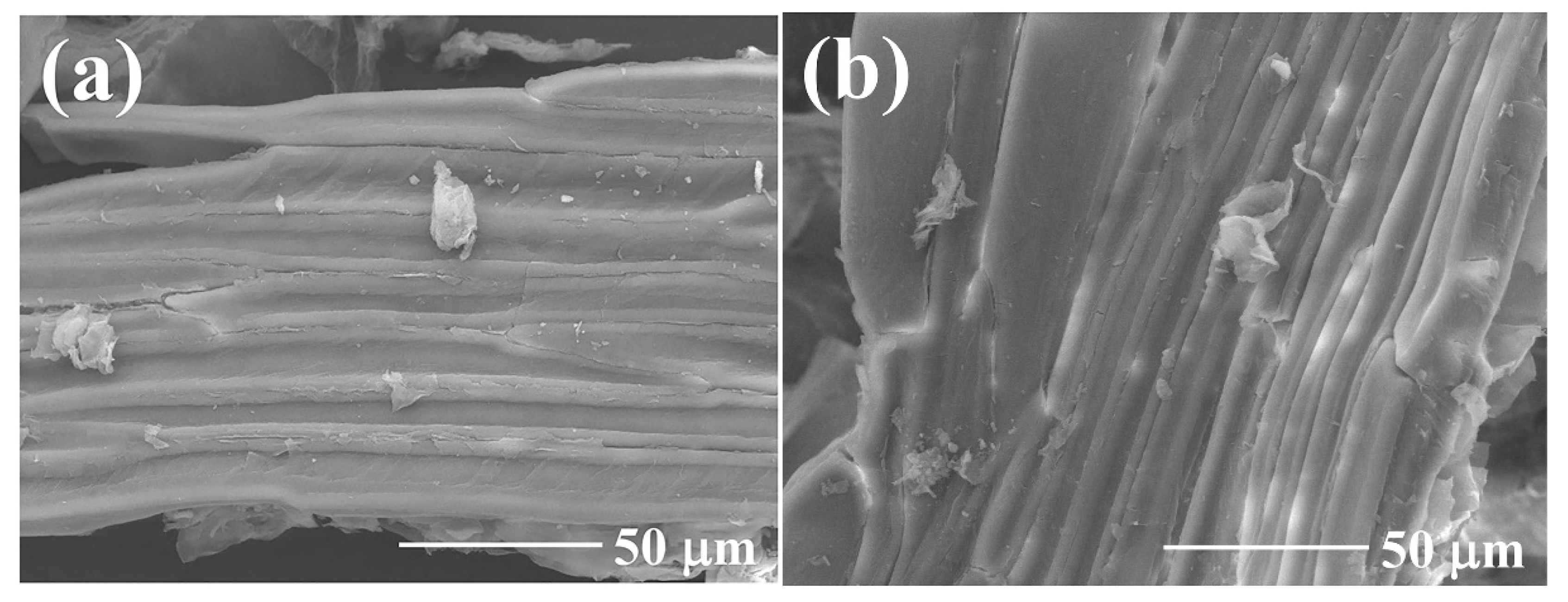 Molecules 29 04772 g001
