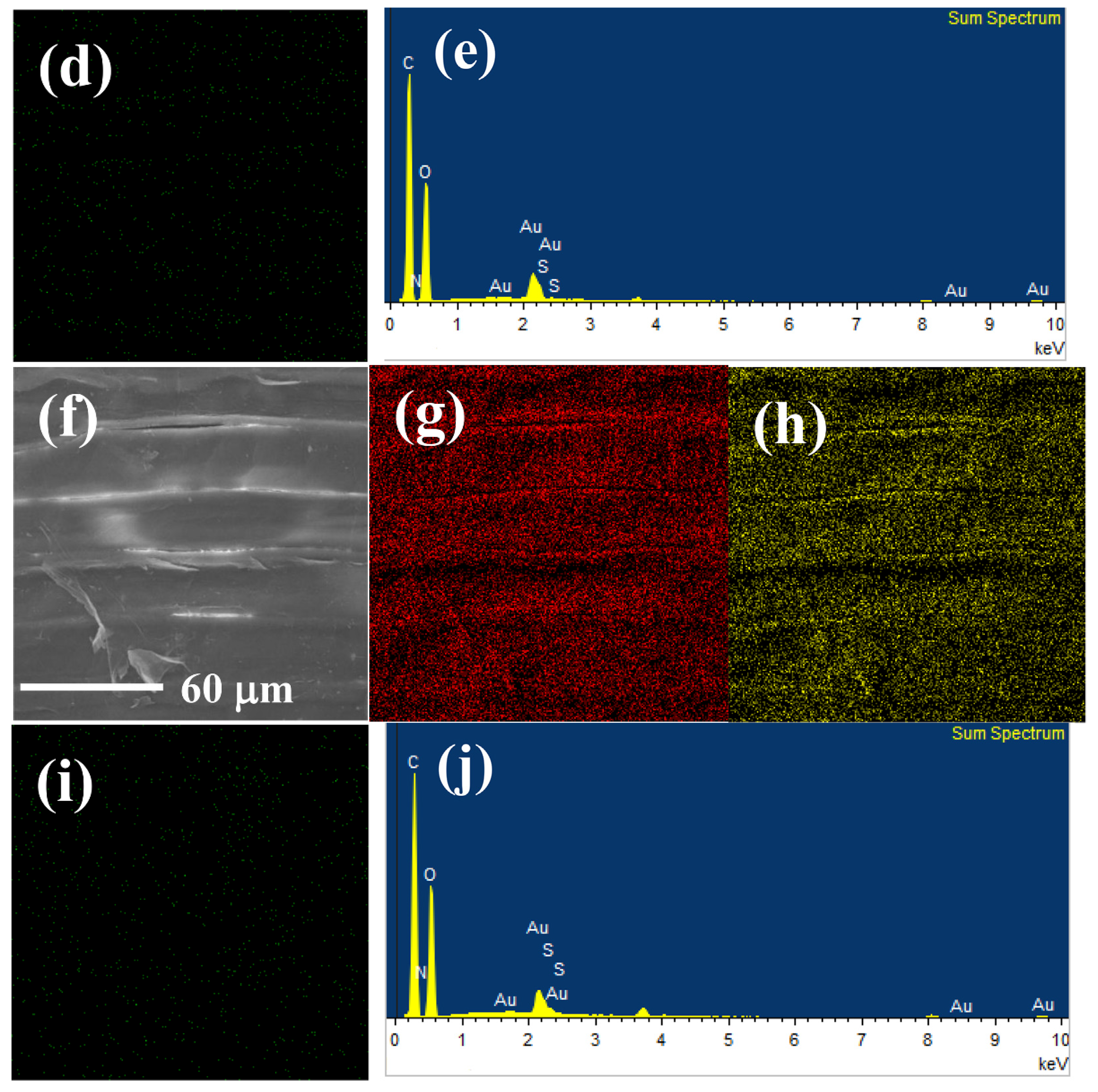 Molecules 29 04772 g002b