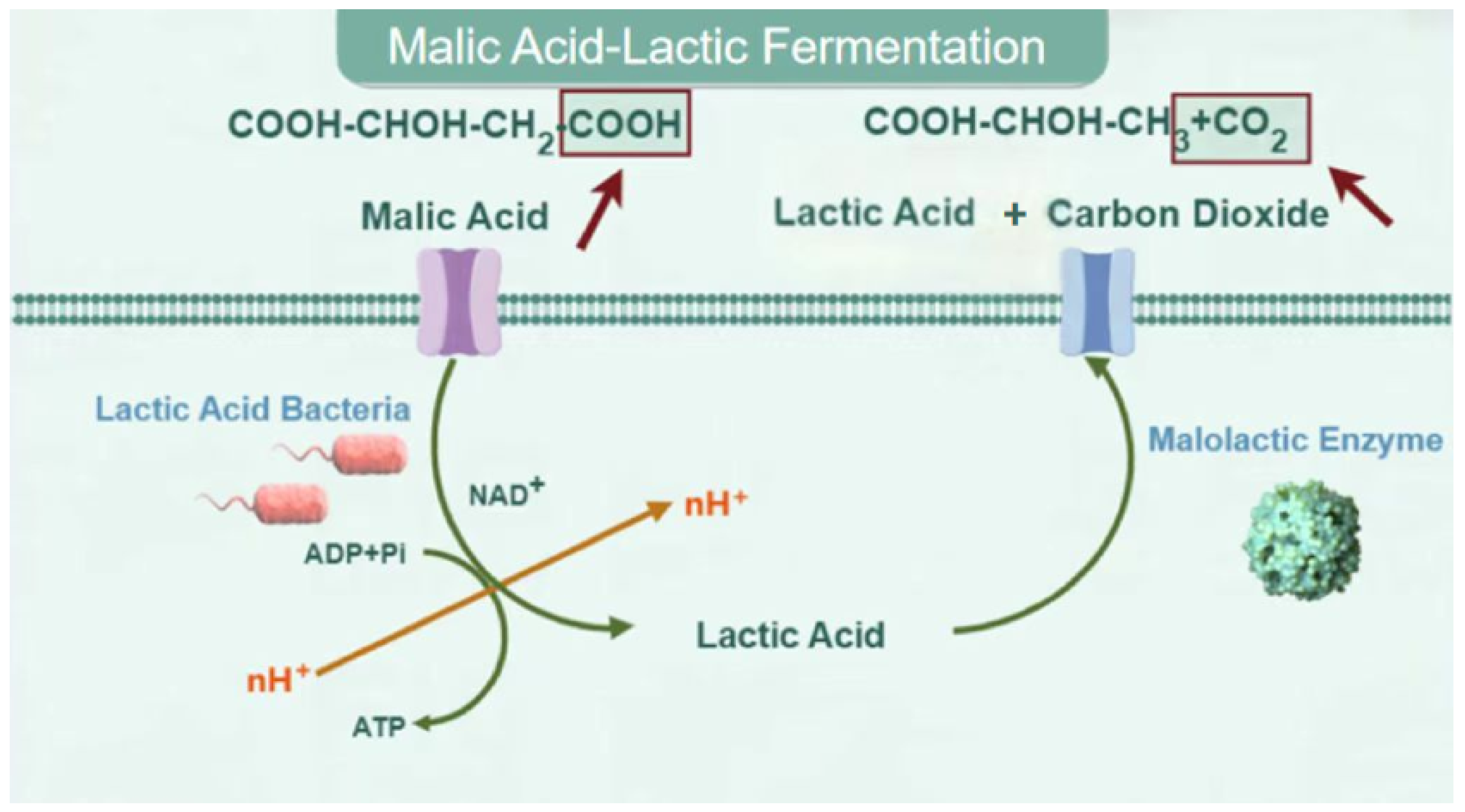 Molecules 29 04779 g001