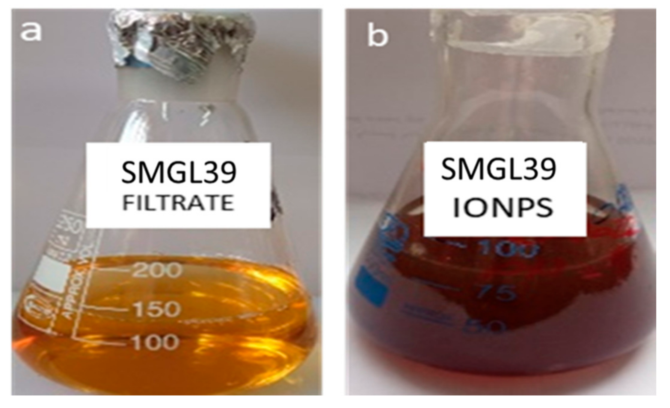 Molecules 29 04784 g004