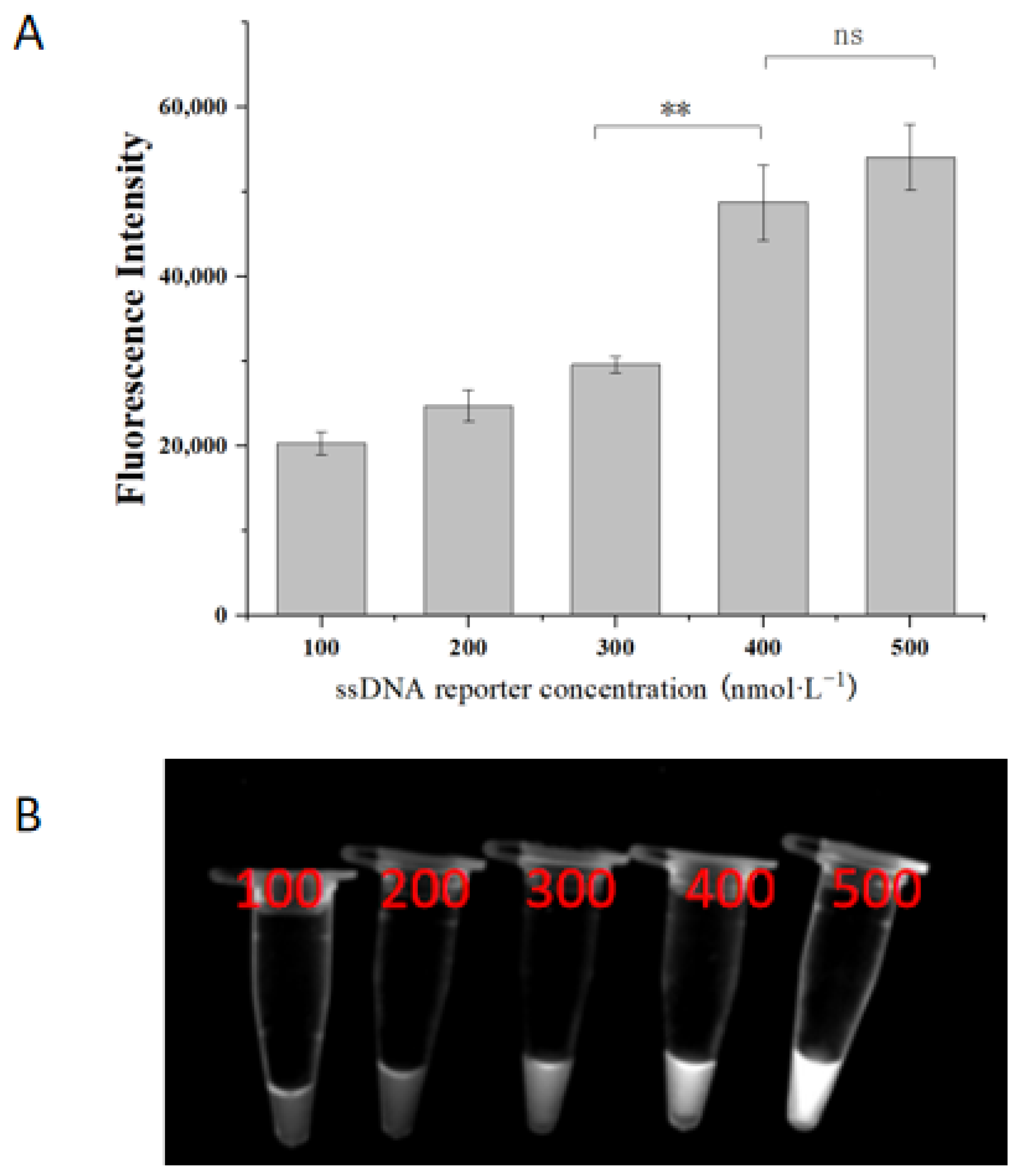 Molecules 29 04789 g005