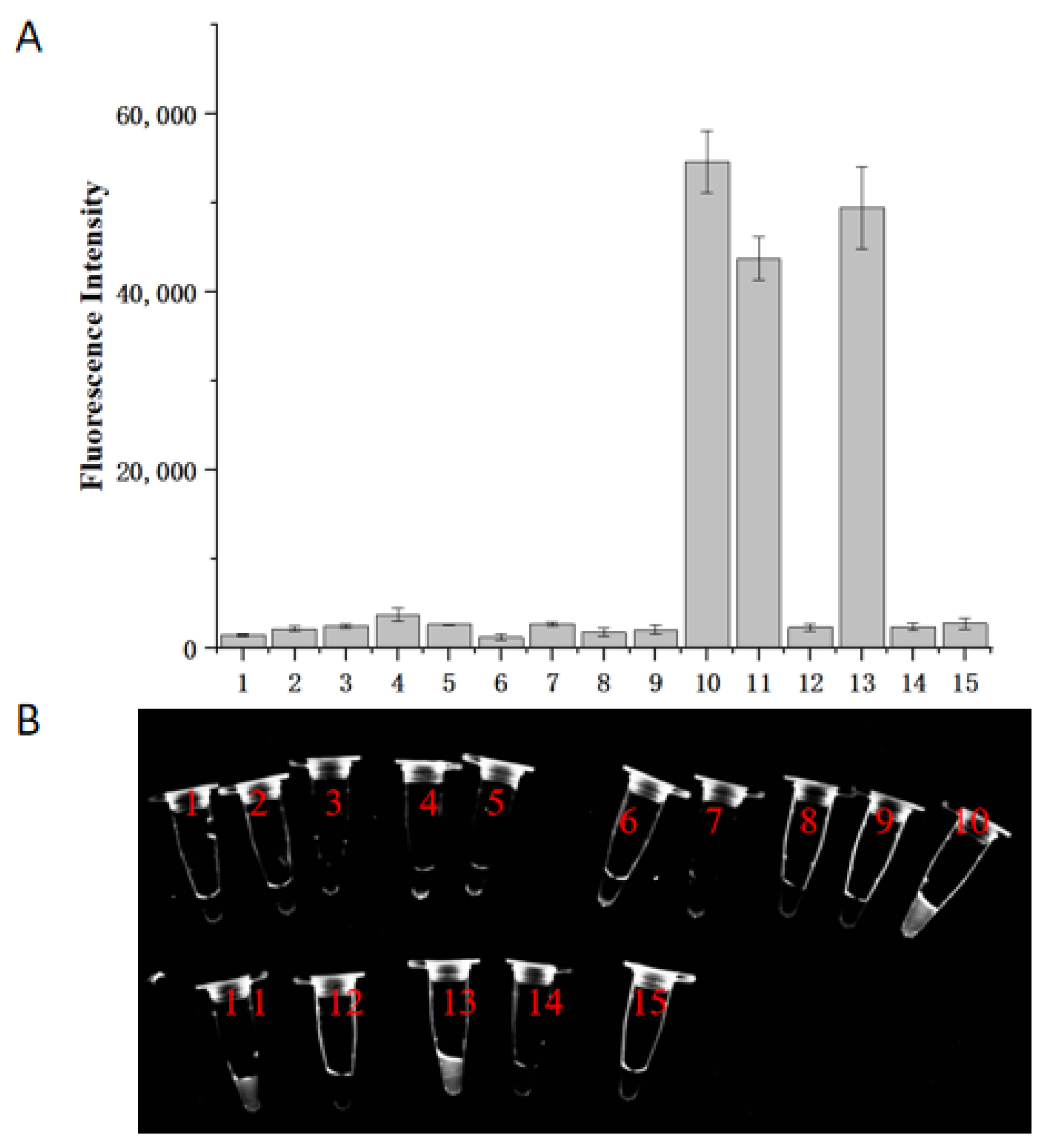 Molecules 29 04789 g007