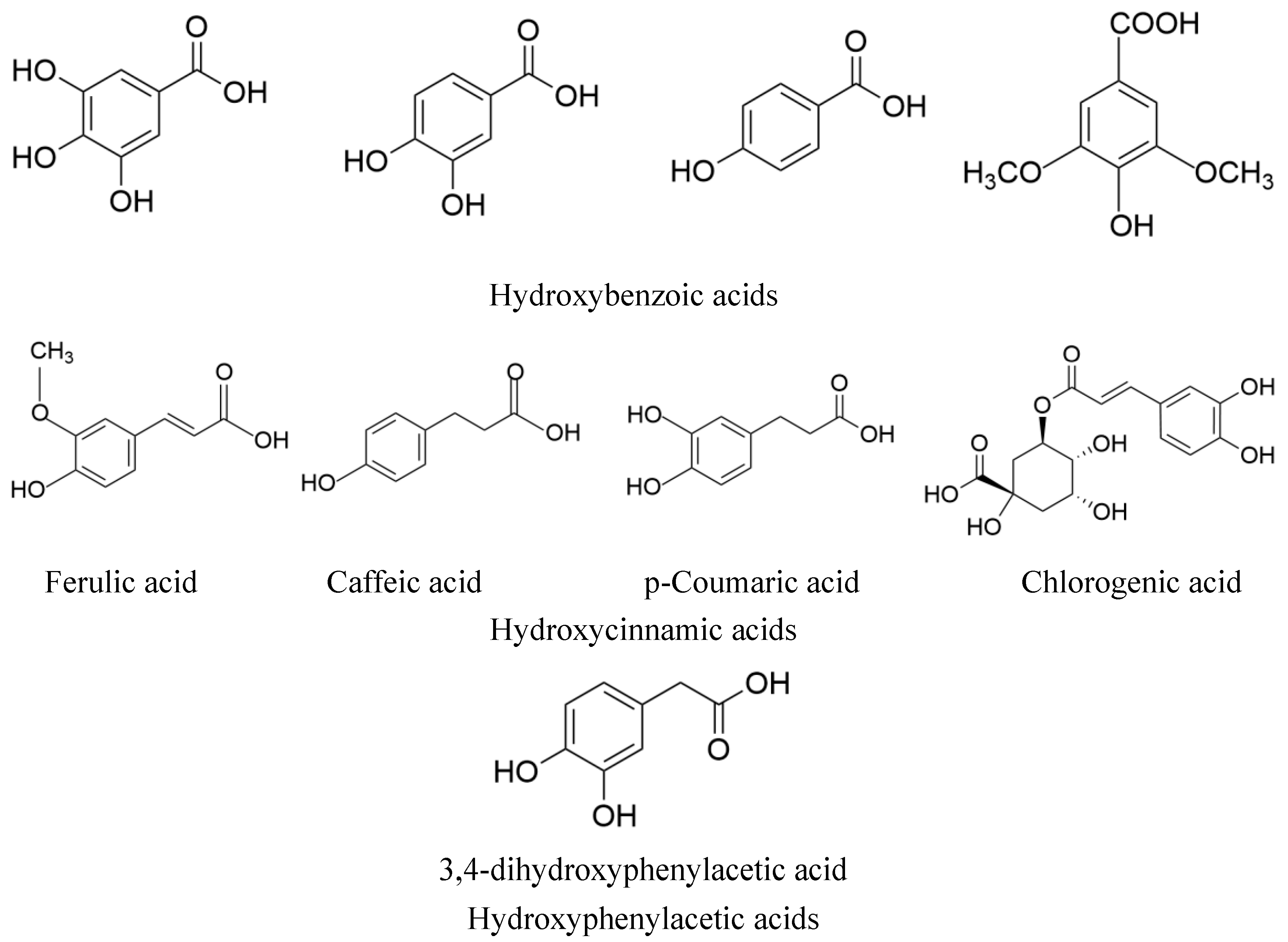Molecules 29 04790 g001