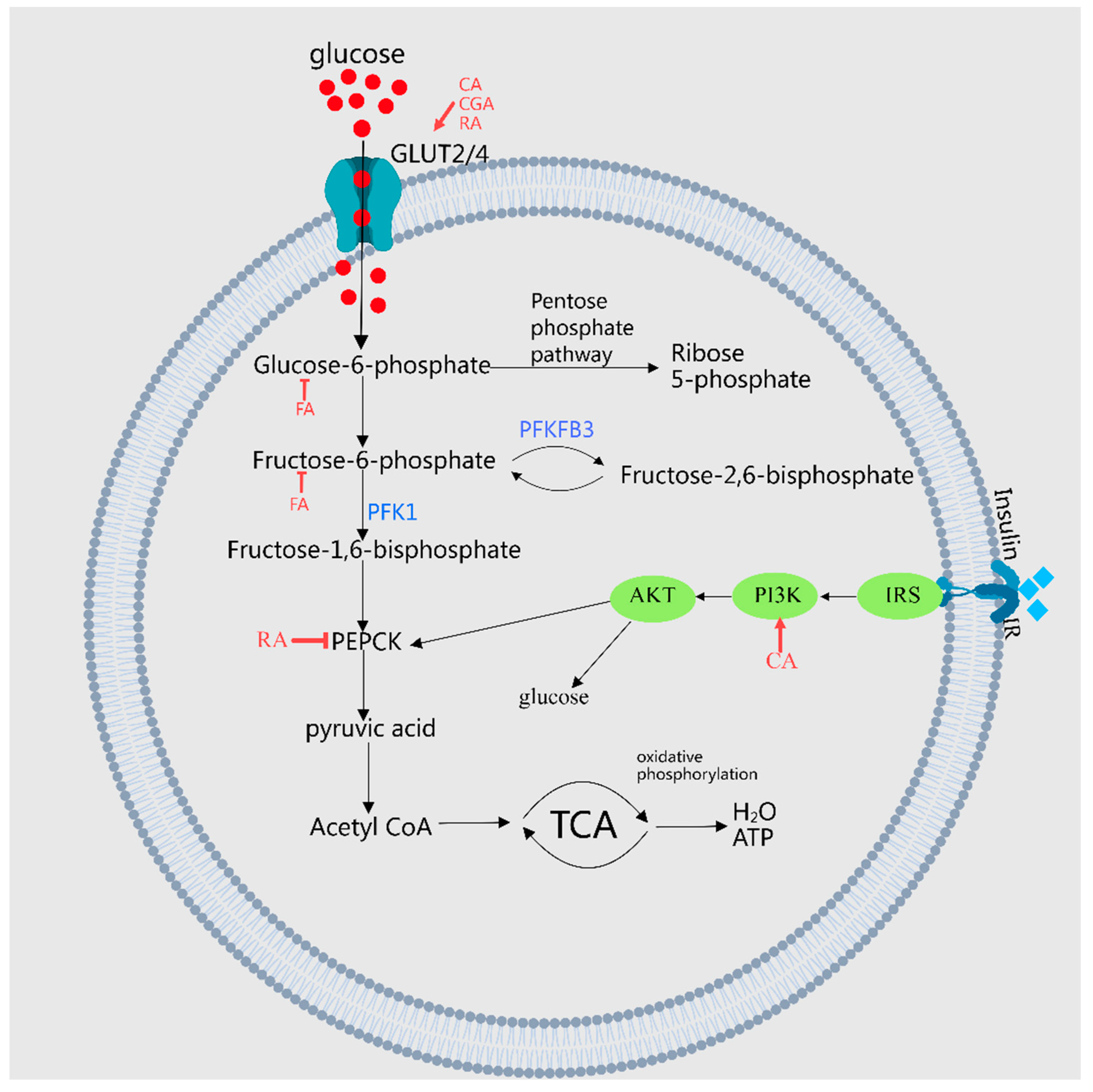 Molecules 29 04790 g002