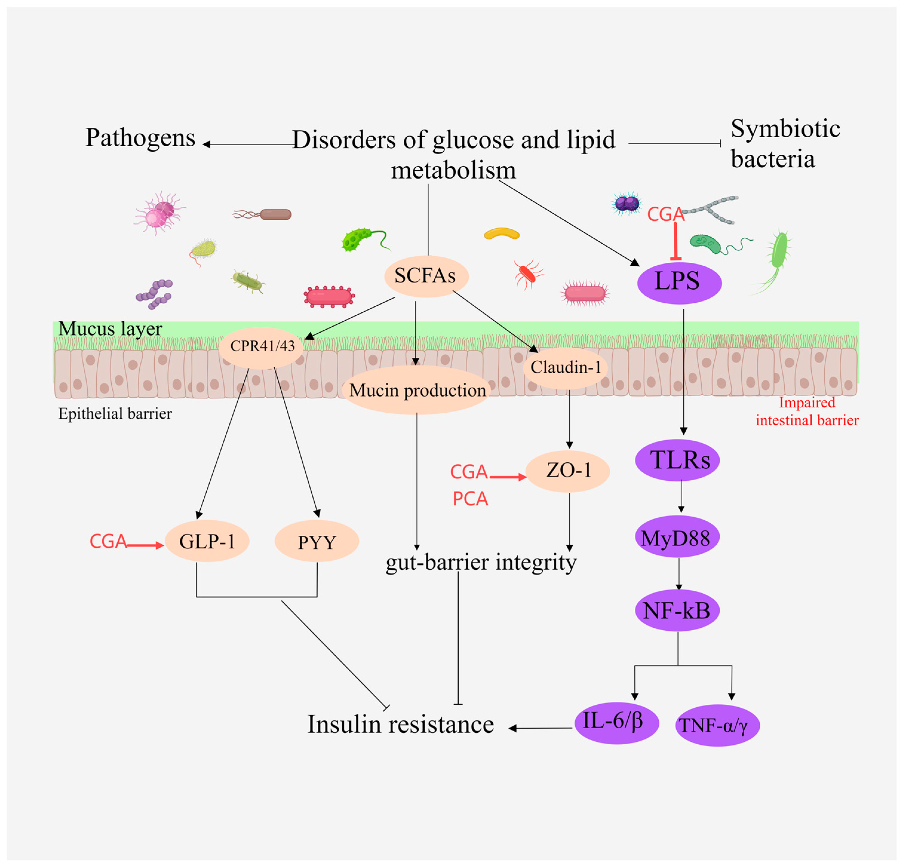 Molecules 29 04790 g007