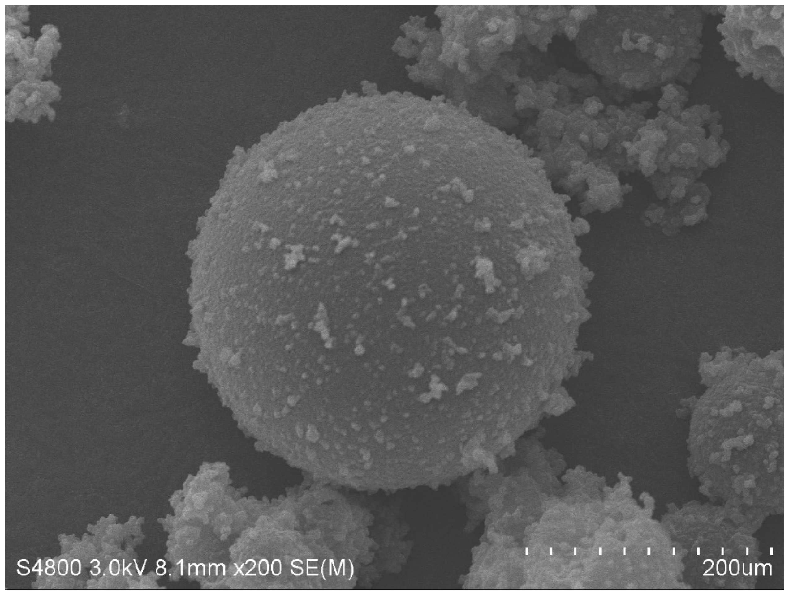 Molecules 29 04797 g014