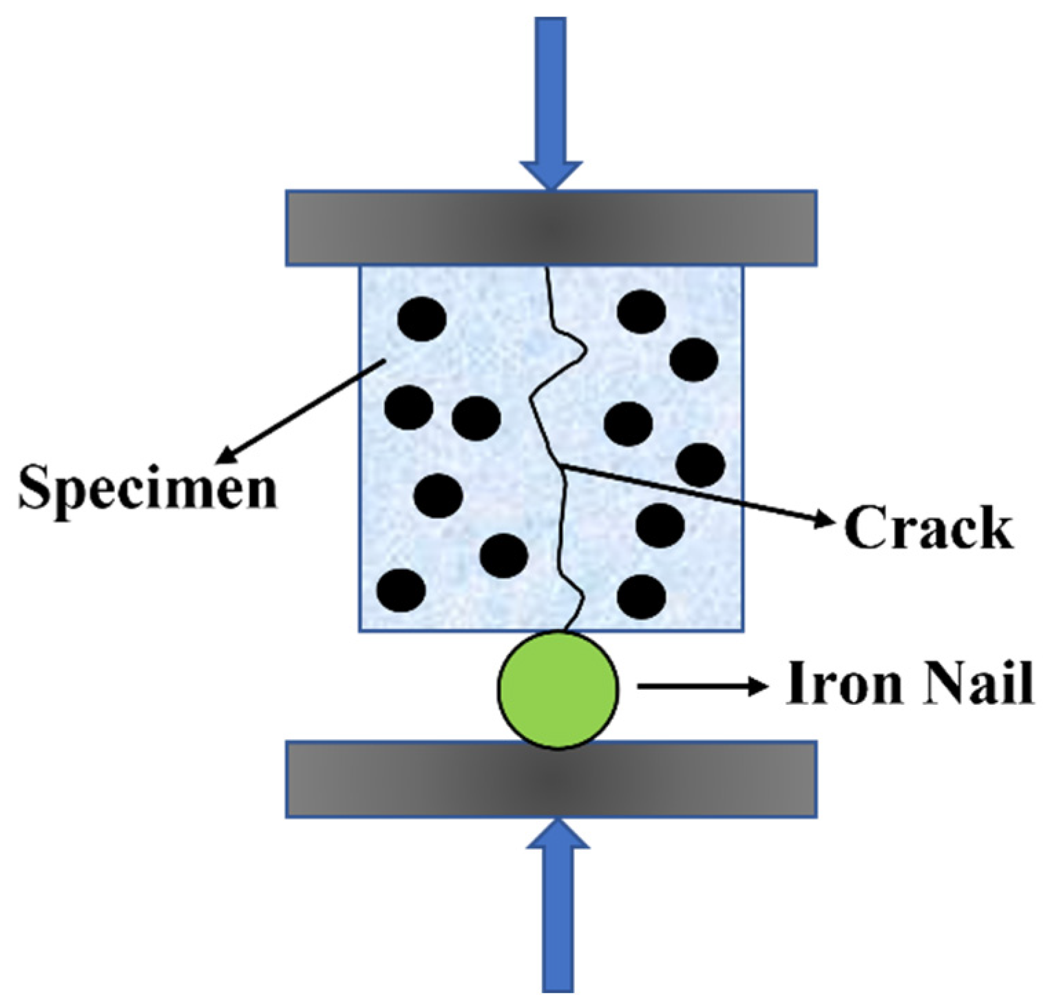 Molecules 29 04797 g016