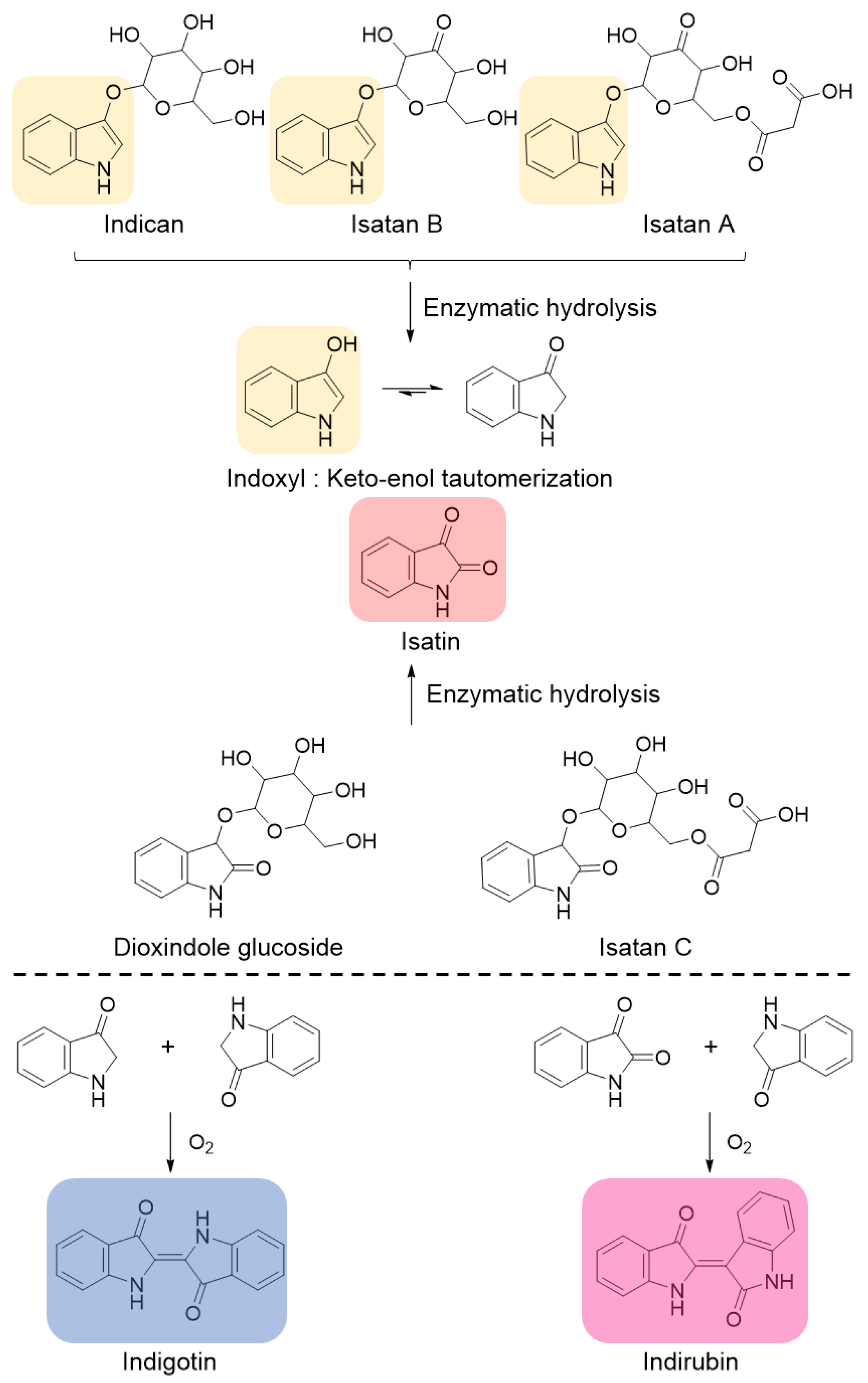 Molecules 29 04804 g001 Molecules 29 04804 g001