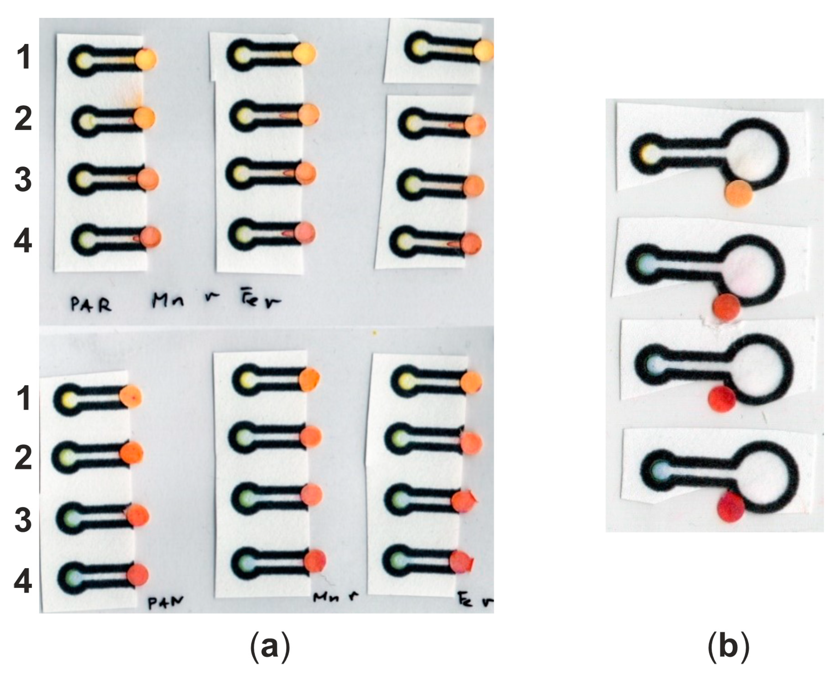 Molecules 29 04805 g004