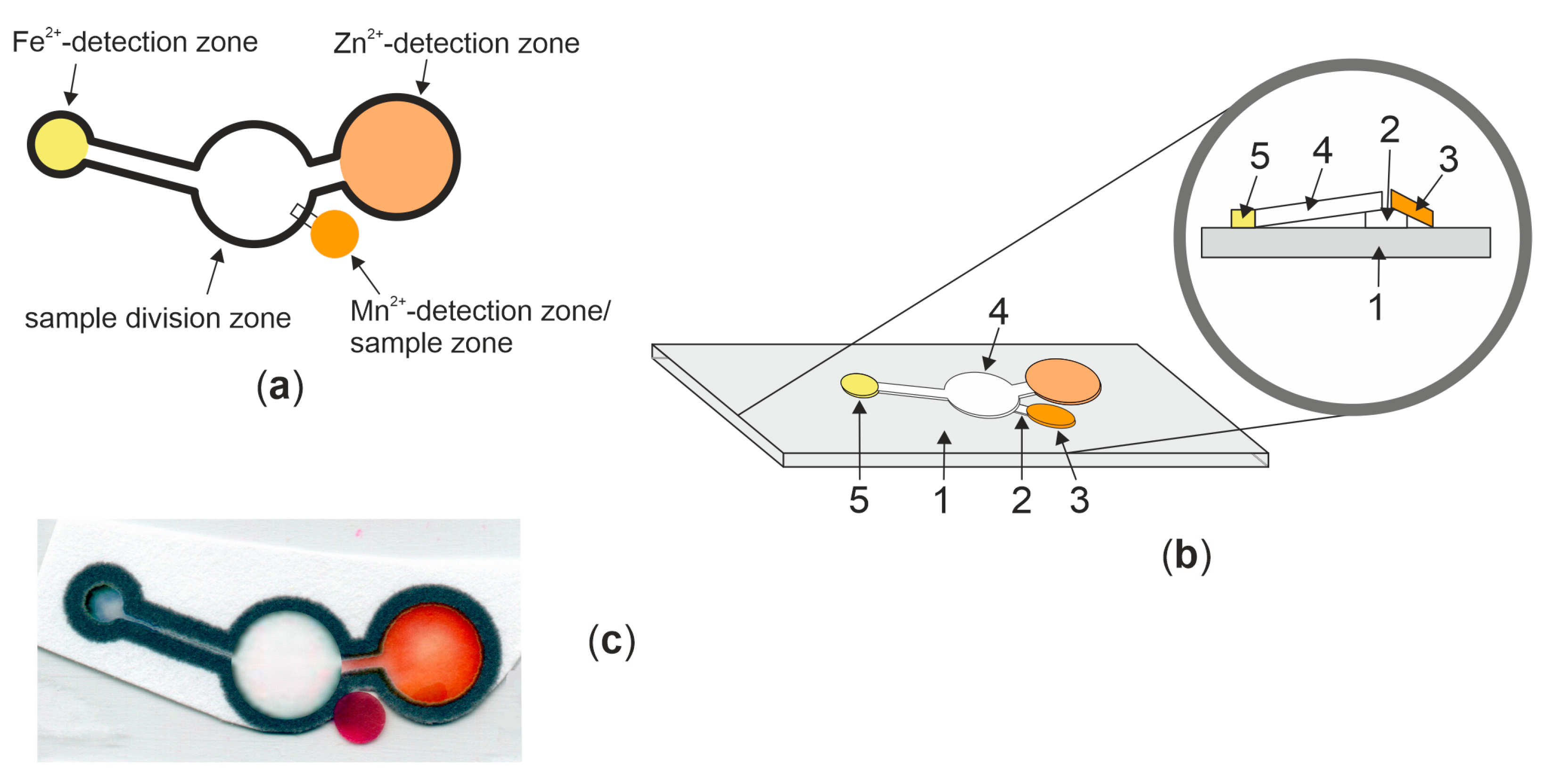 Molecules 29 04805 g005
