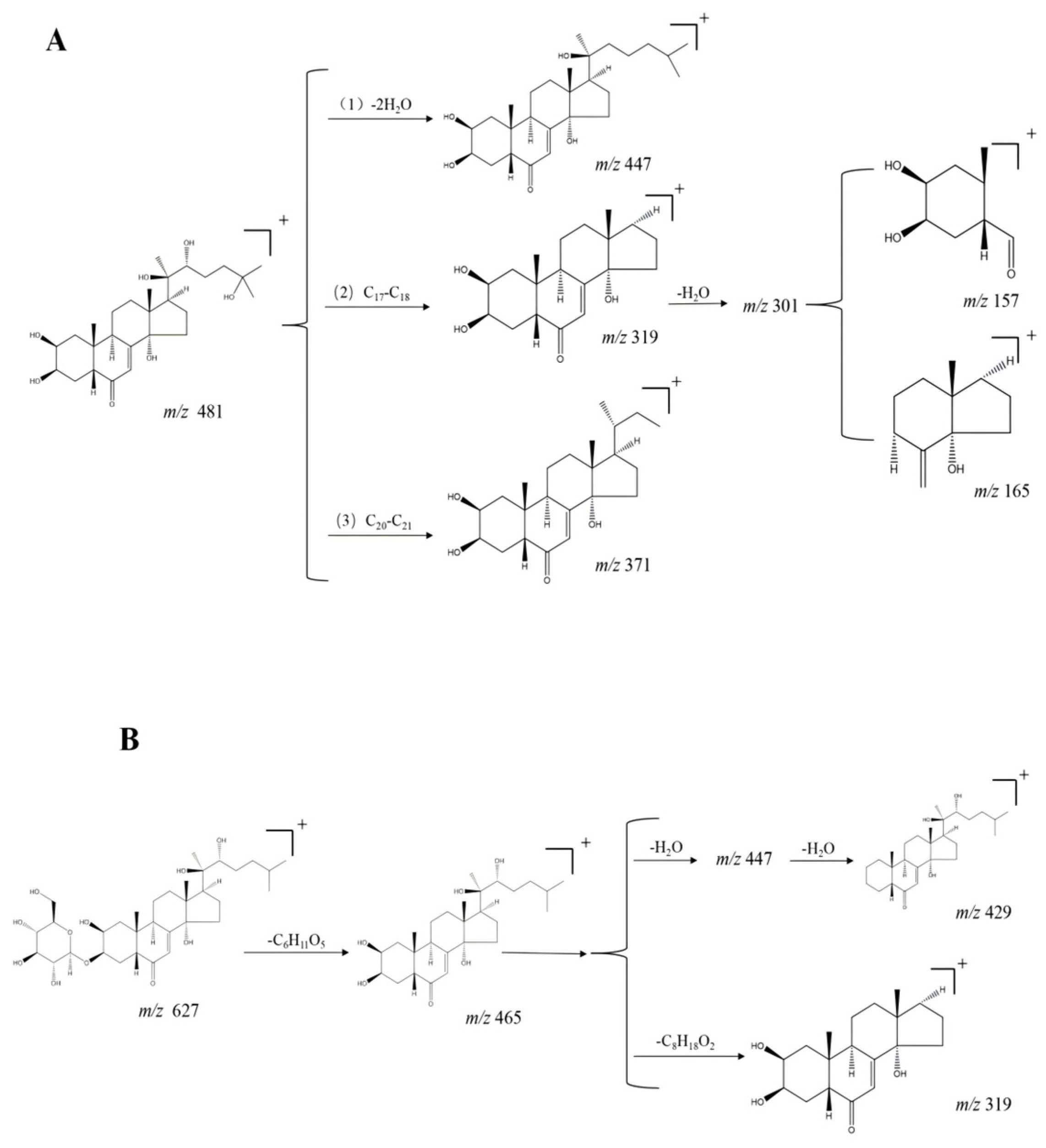 Molecules 29 04817 g002