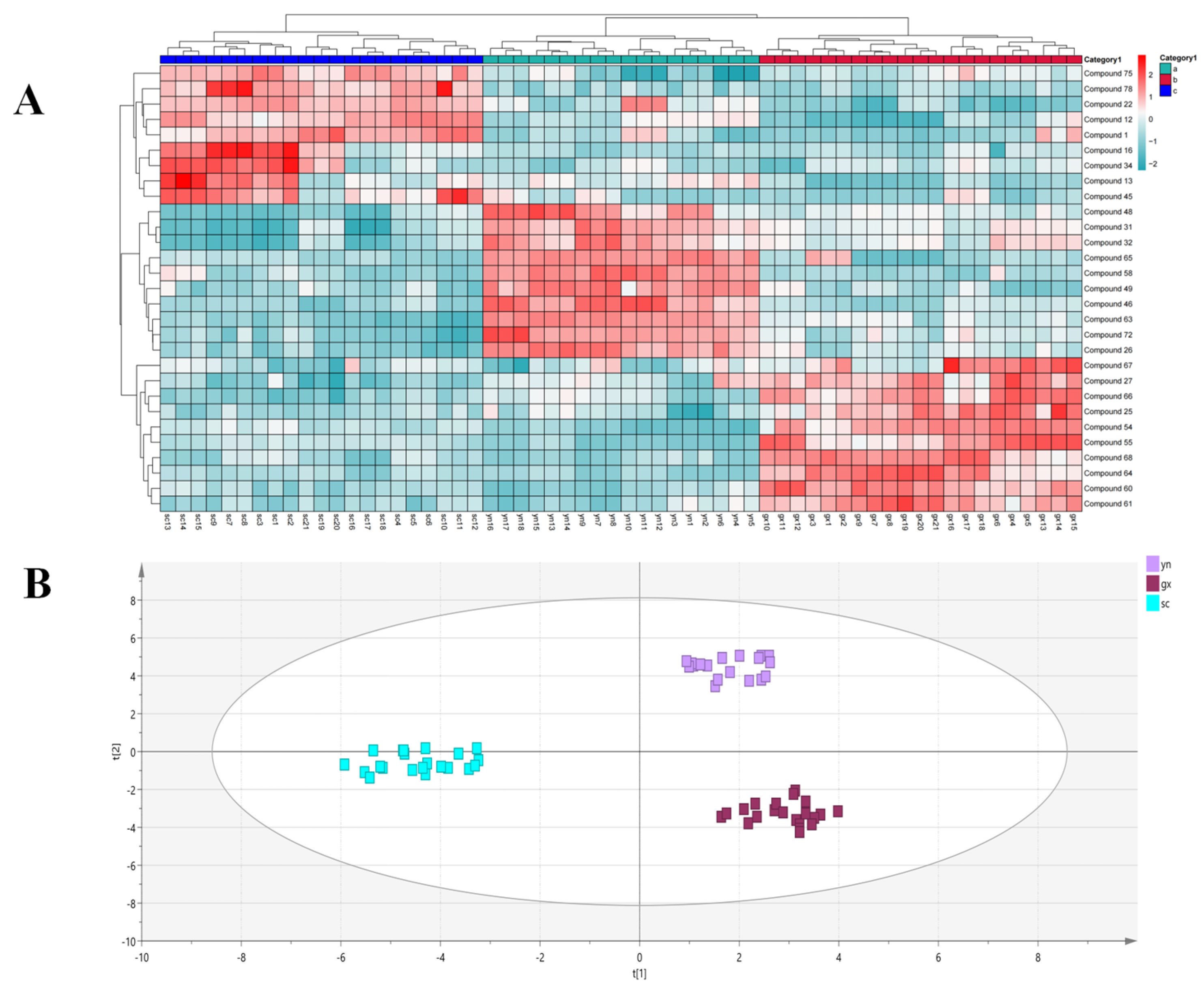 Molecules 29 04817 g007