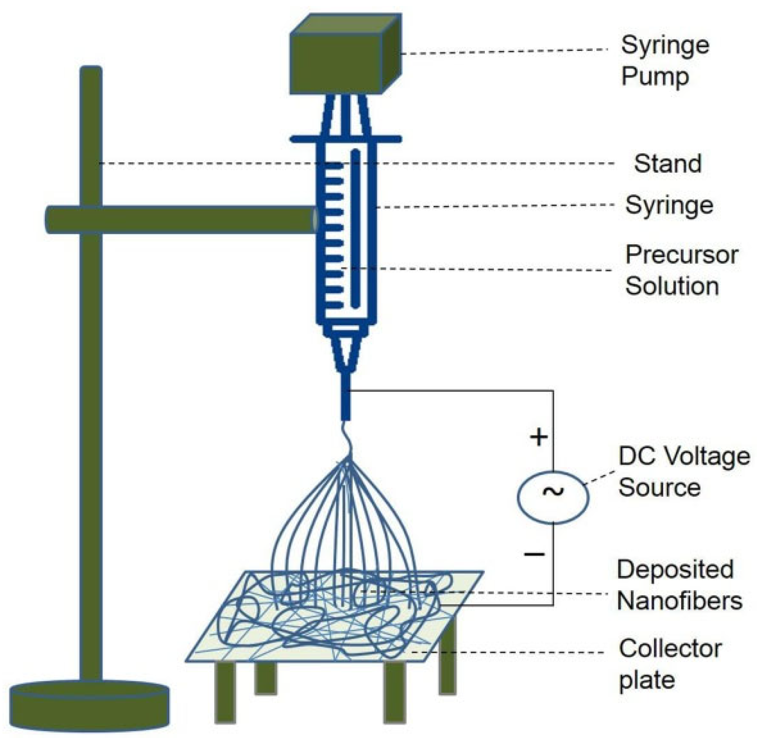 Molecules 29 04824 g002