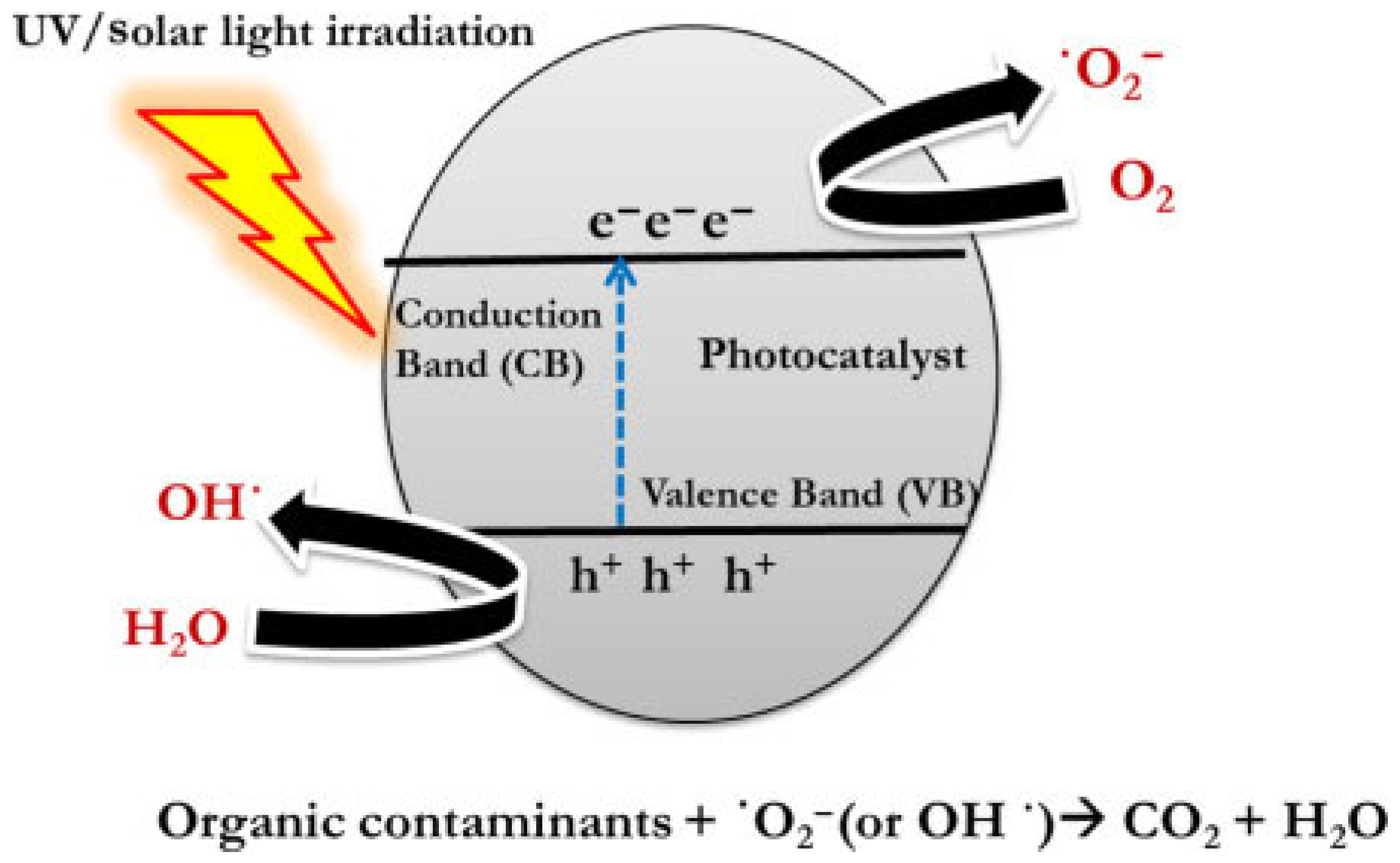 Molecules 29 04824 g003