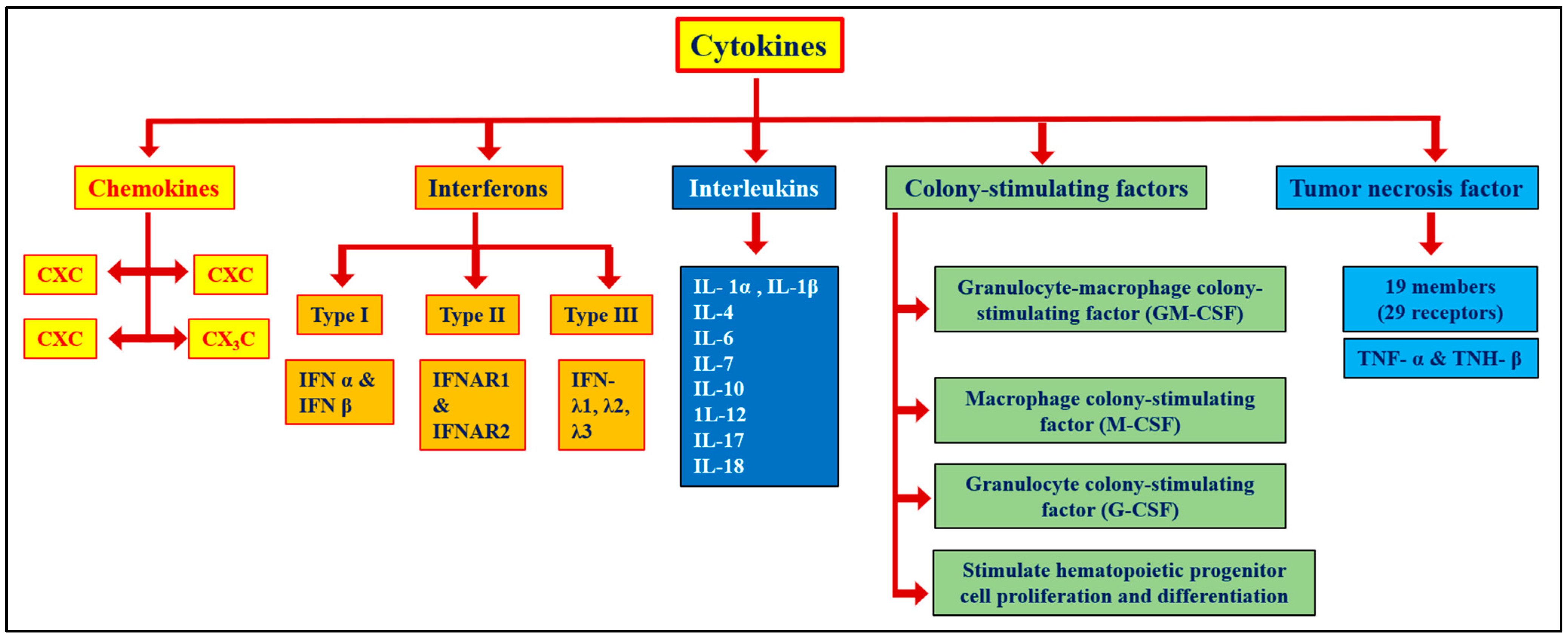 Molecules 29 04826 g001