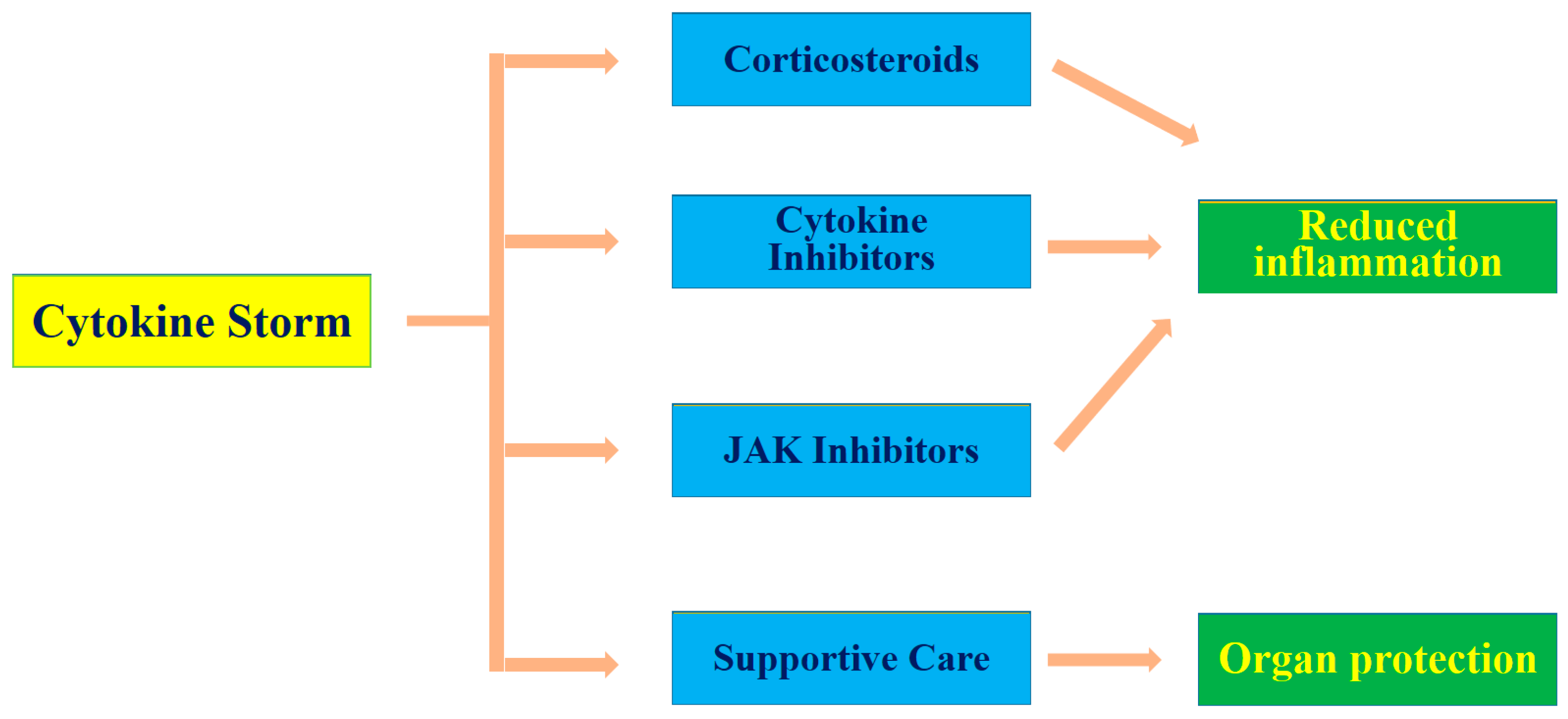 Molecules 29 04826 g002