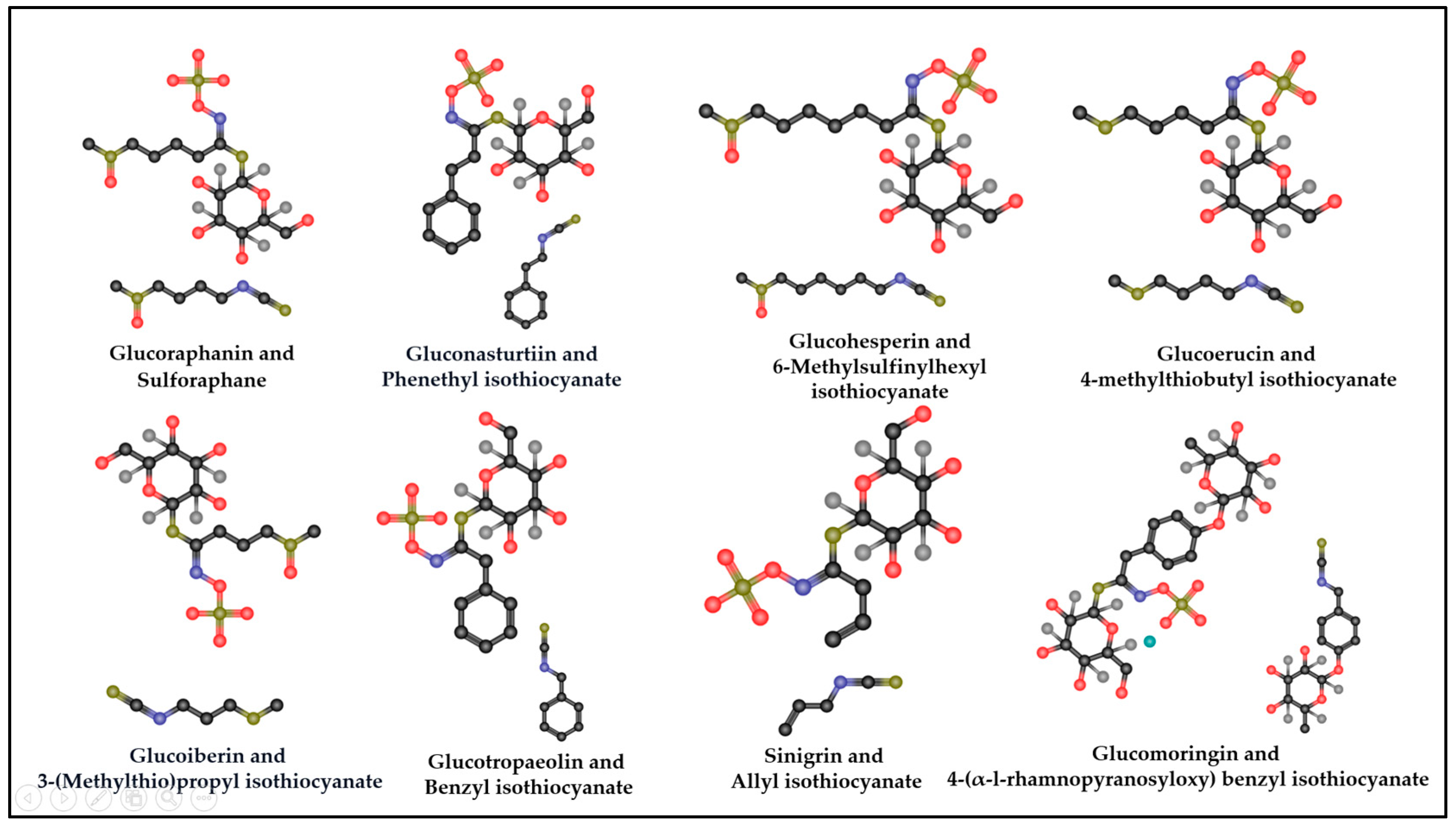 Molecules 29 04826 g003