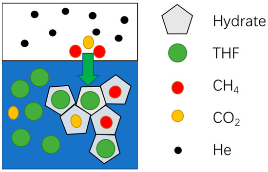 The Phase Equilibria of Natural Gas Hydrate in the Presence