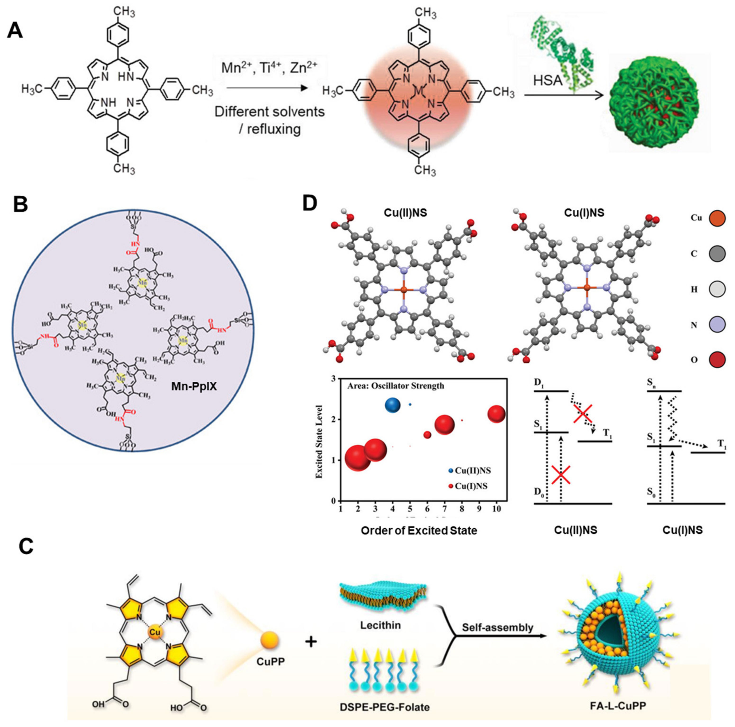 Molecules 29 04828 g006