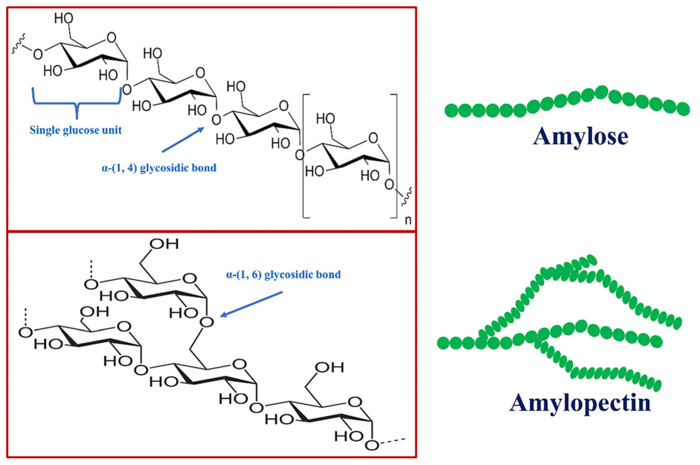 Molecules 29 04835 g001