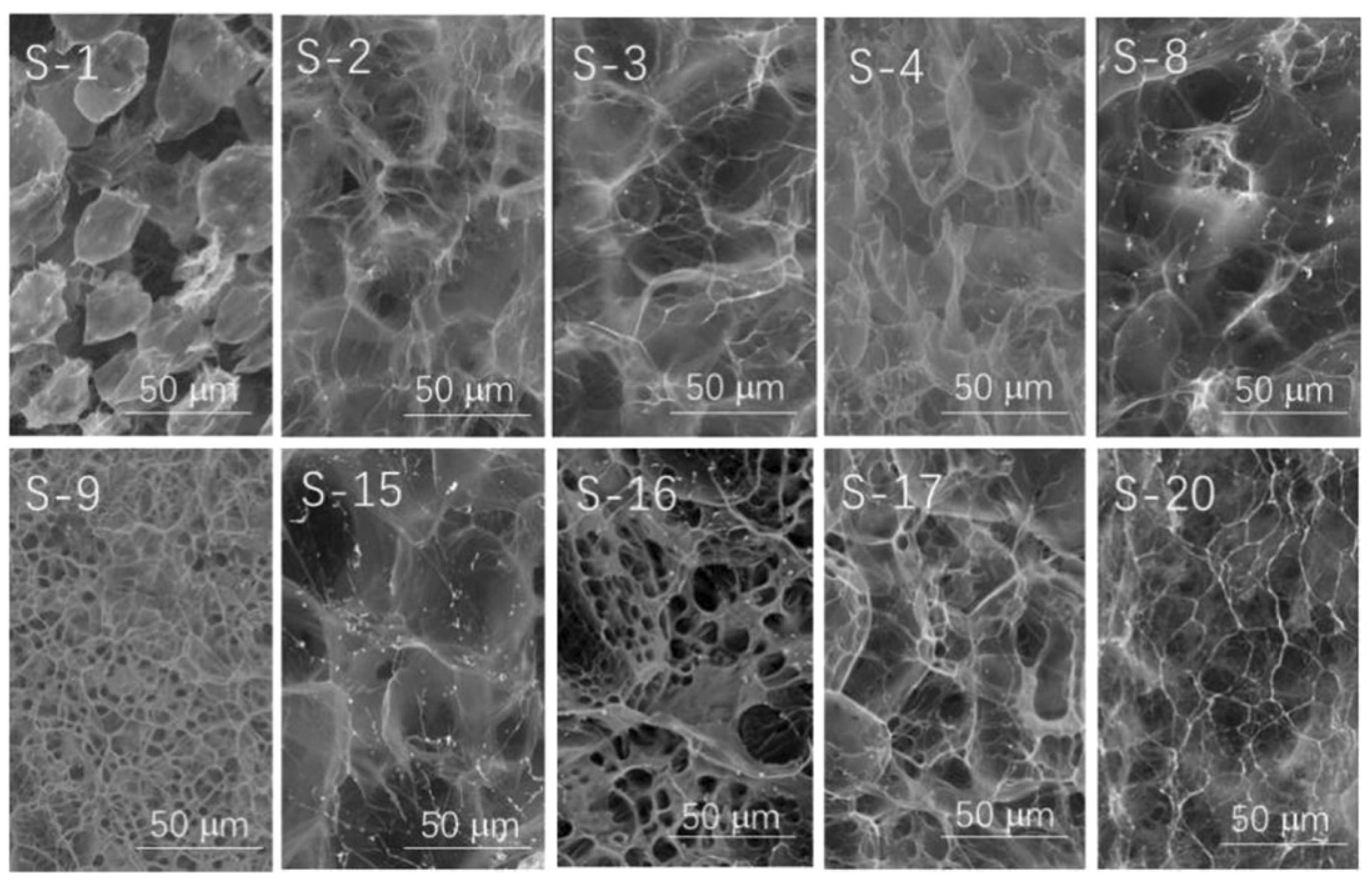 Molecules 29 04835 g009