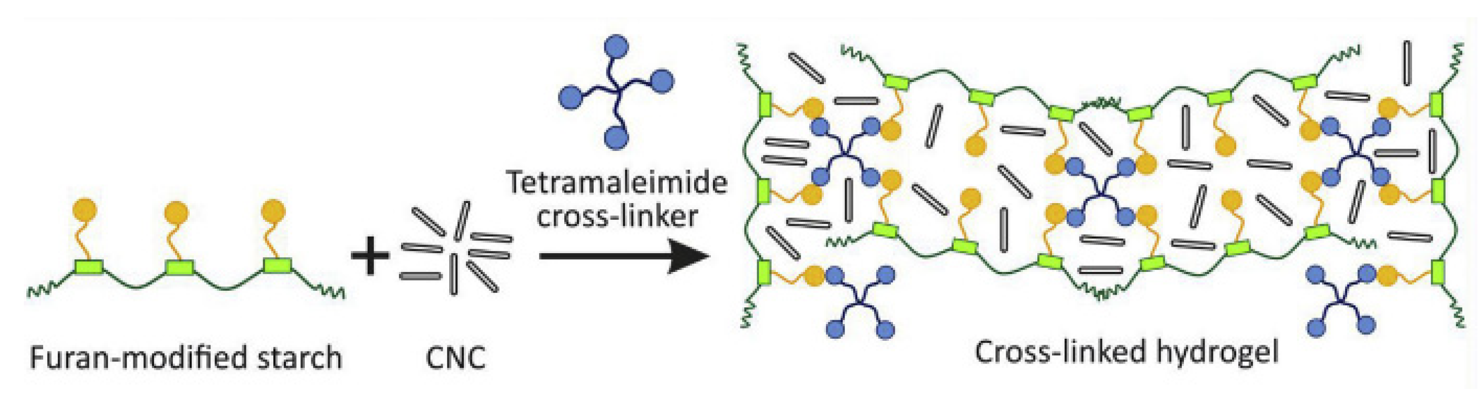 Molecules 29 04835 g010