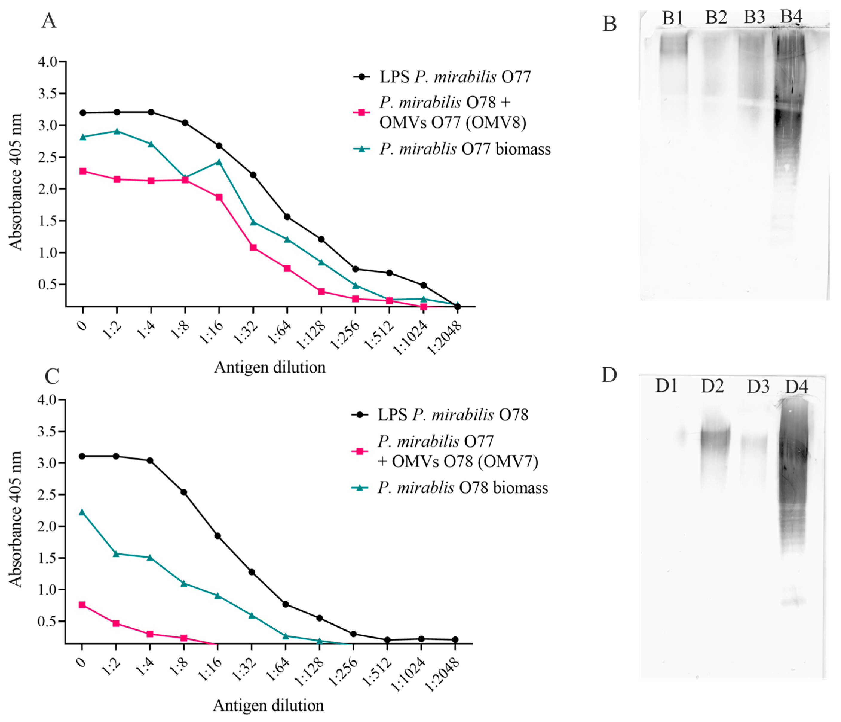 Molecules 29 04836 g004