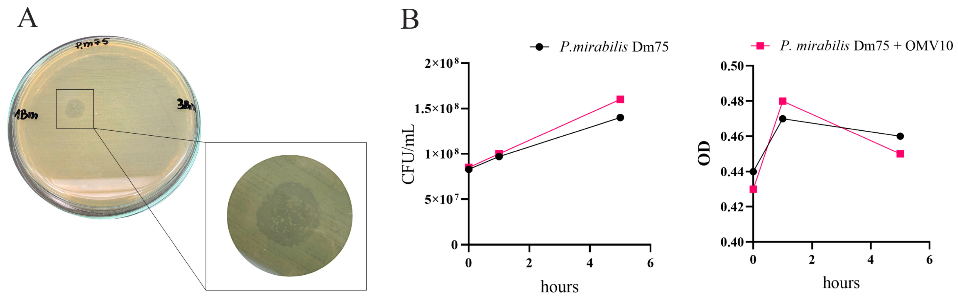 Molecules 29 04836 g006