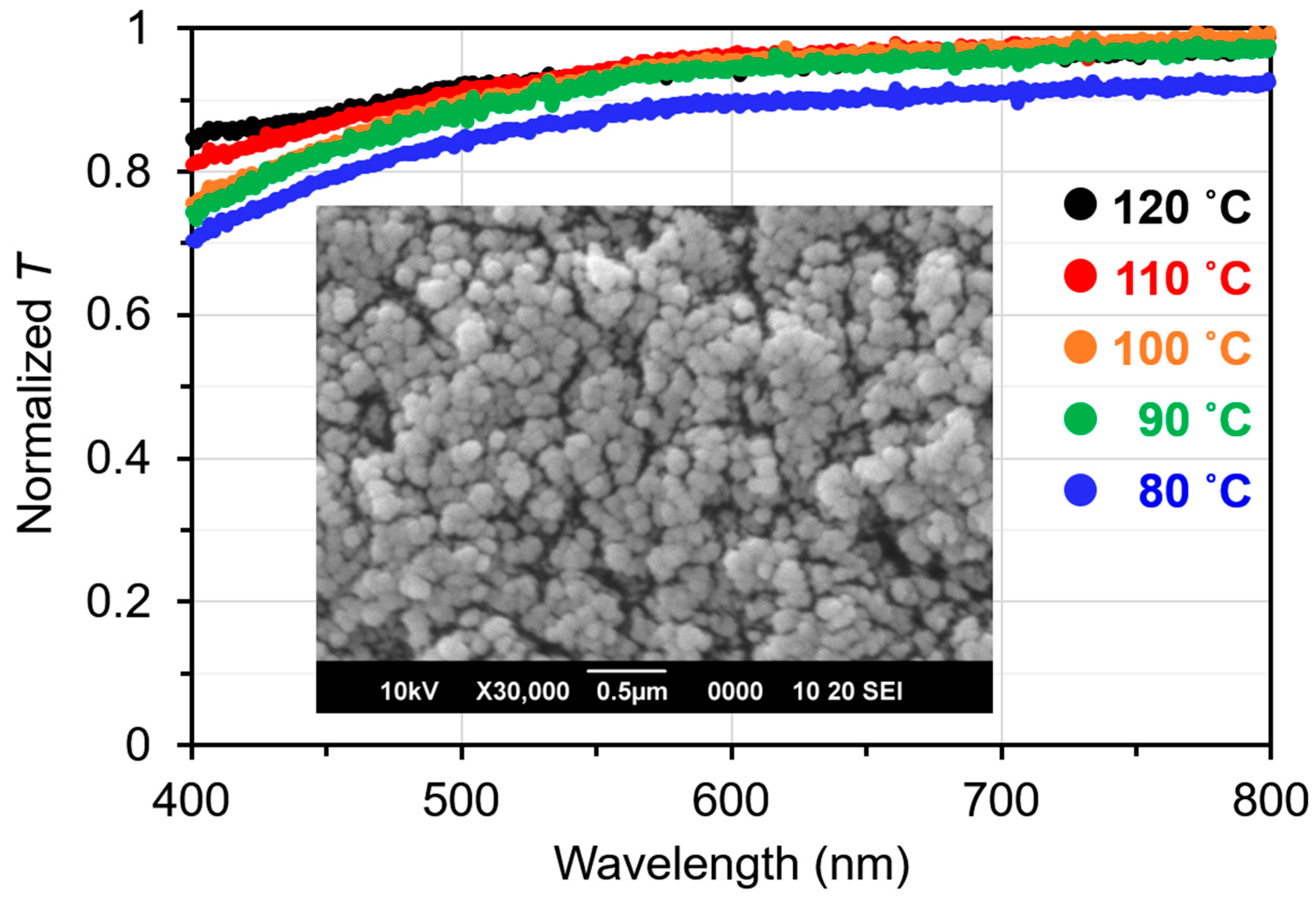Molecules 29 04837 g001