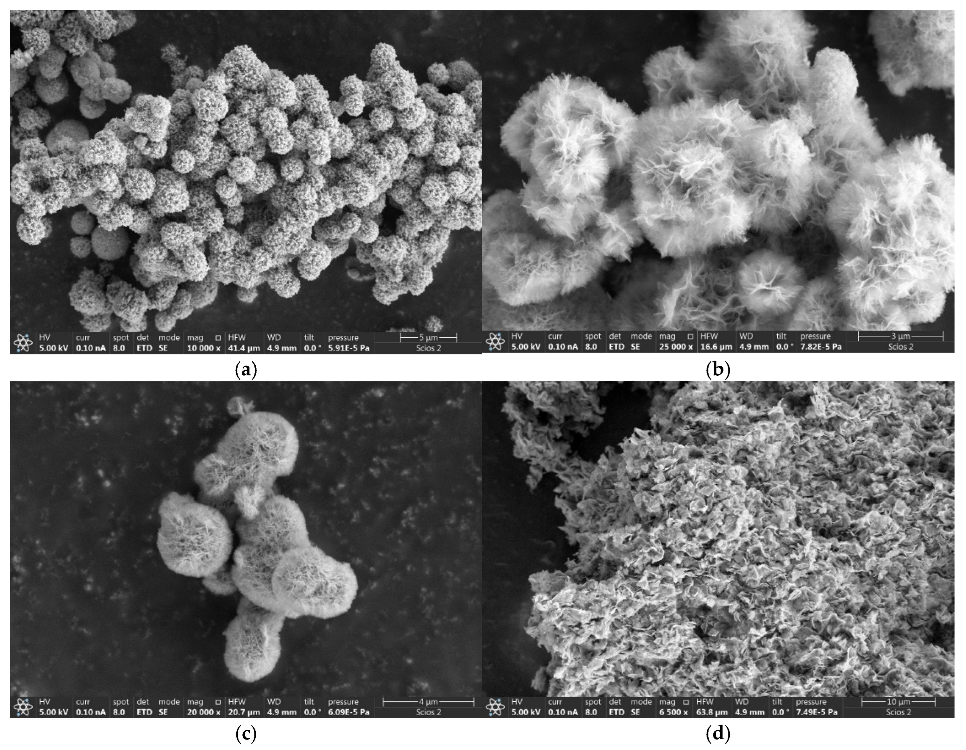 Molecules 29 04838 g003a