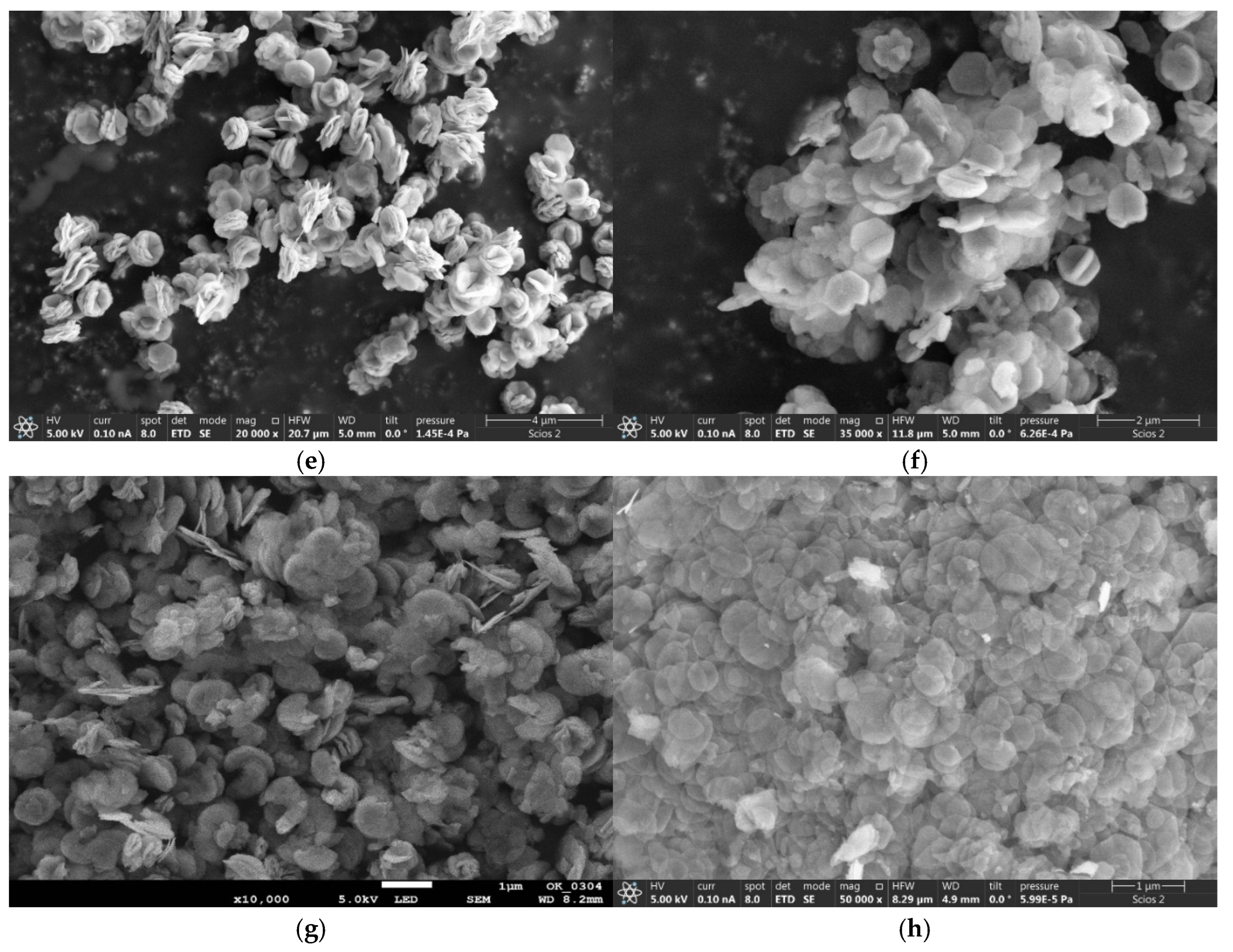 Molecules 29 04838 g003b