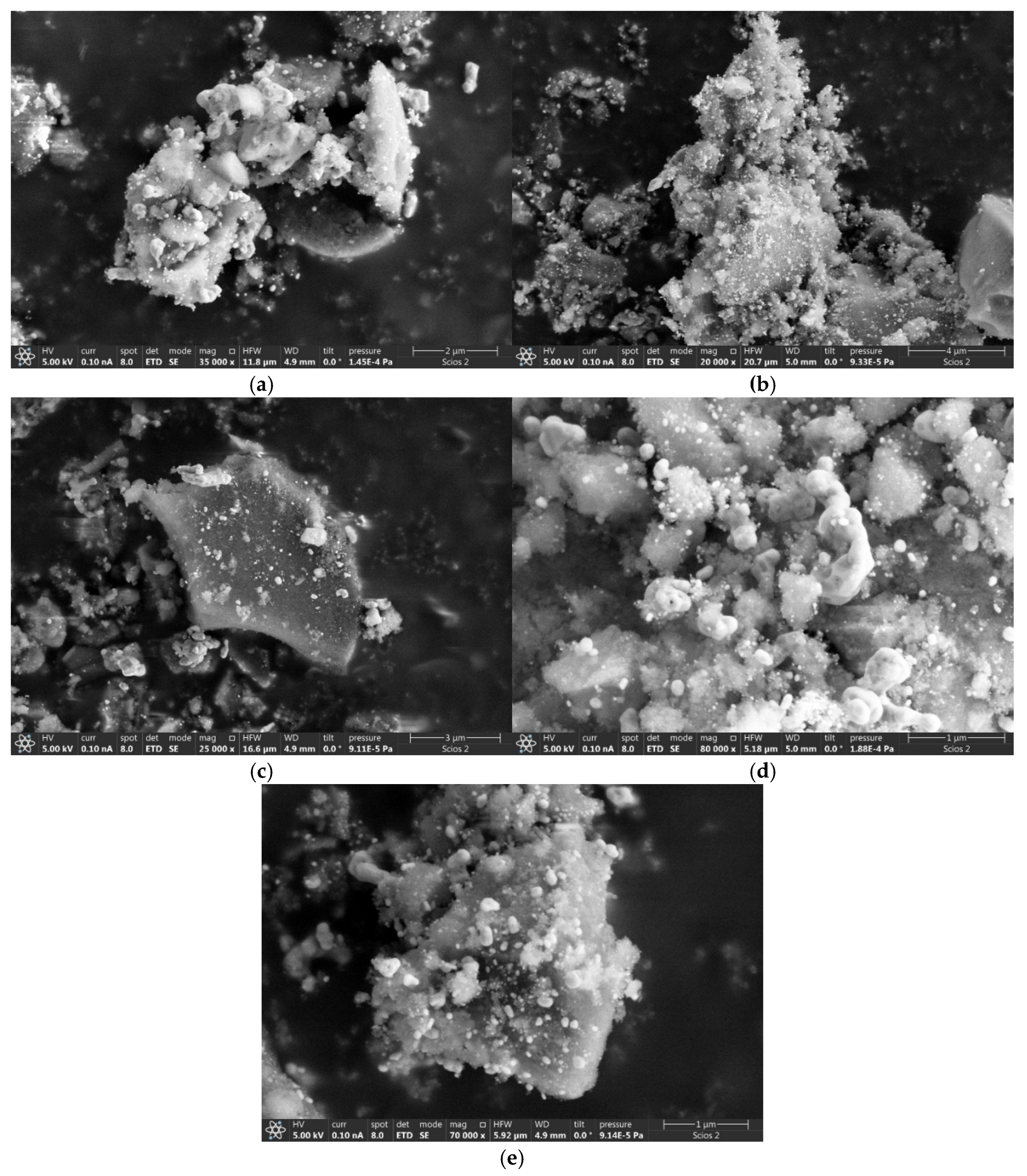 Molecules 29 04838 g004